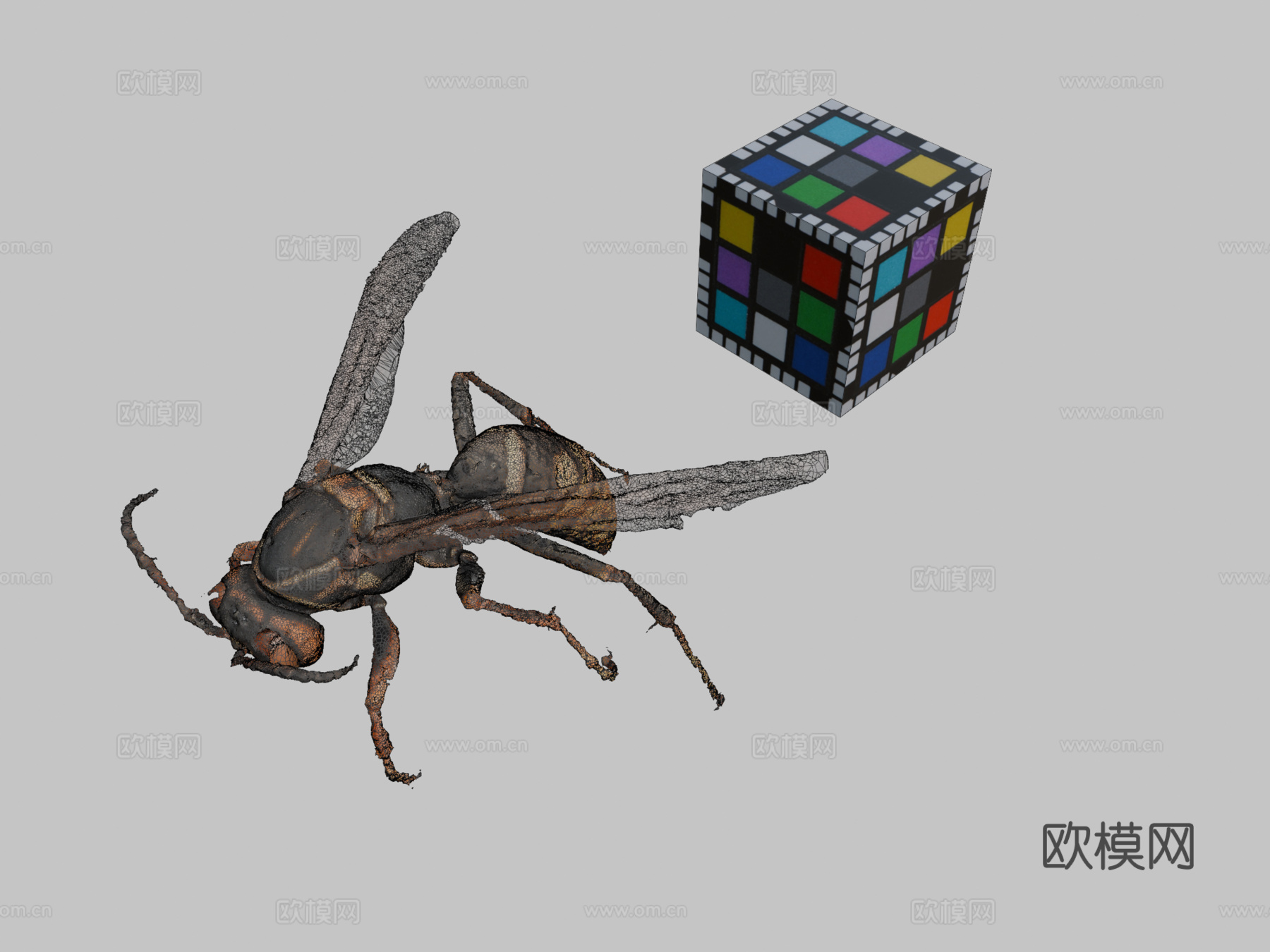 CC0 黑腹长脚蜂  暗腰纸蜂3d模型下载（渲染图2）