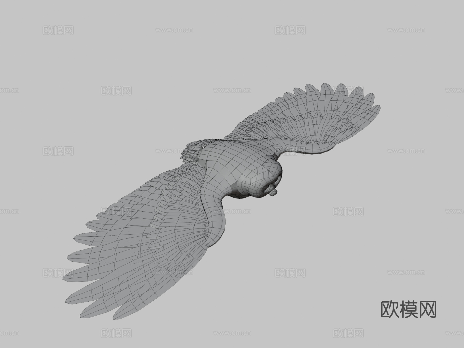 猫头鹰3d模型下载（渲染图3）