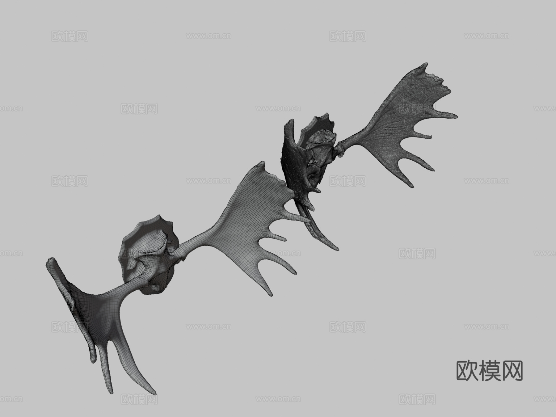 驼鹿角高低多边形扫描3d模型下载（渲染图3）