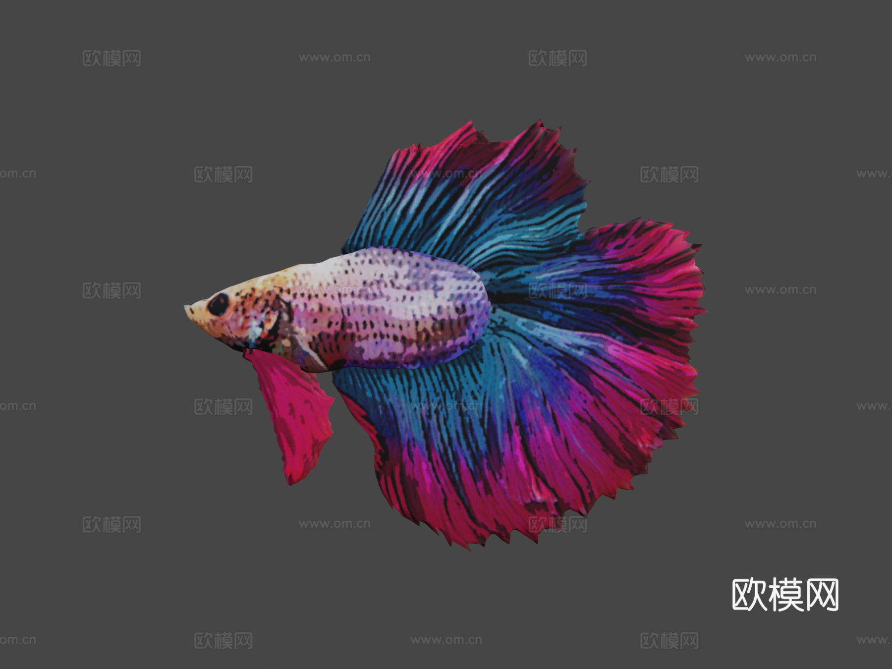 斗鱼3d模型下载（渲染图8）