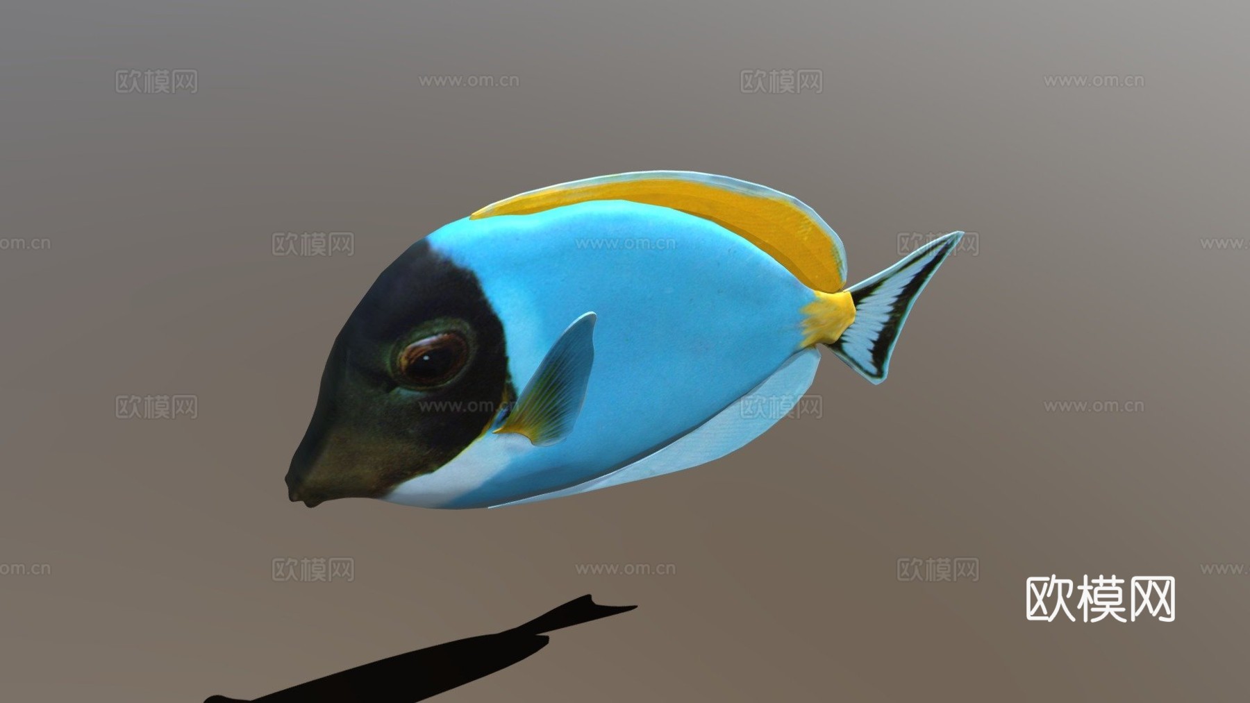 迟钝鱼Blender2.80及其他格式3d模型下载（渲染图1）