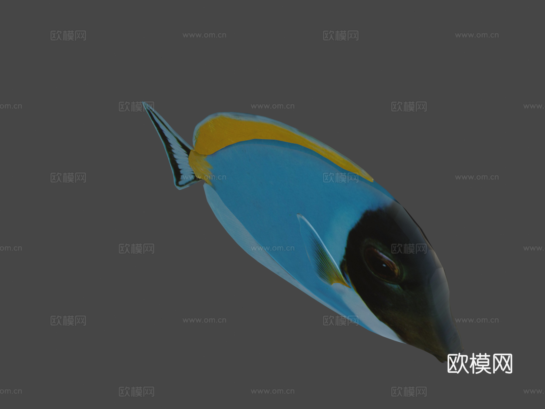 迟钝鱼Blender2.80及其他格式3d模型下载（渲染图7）