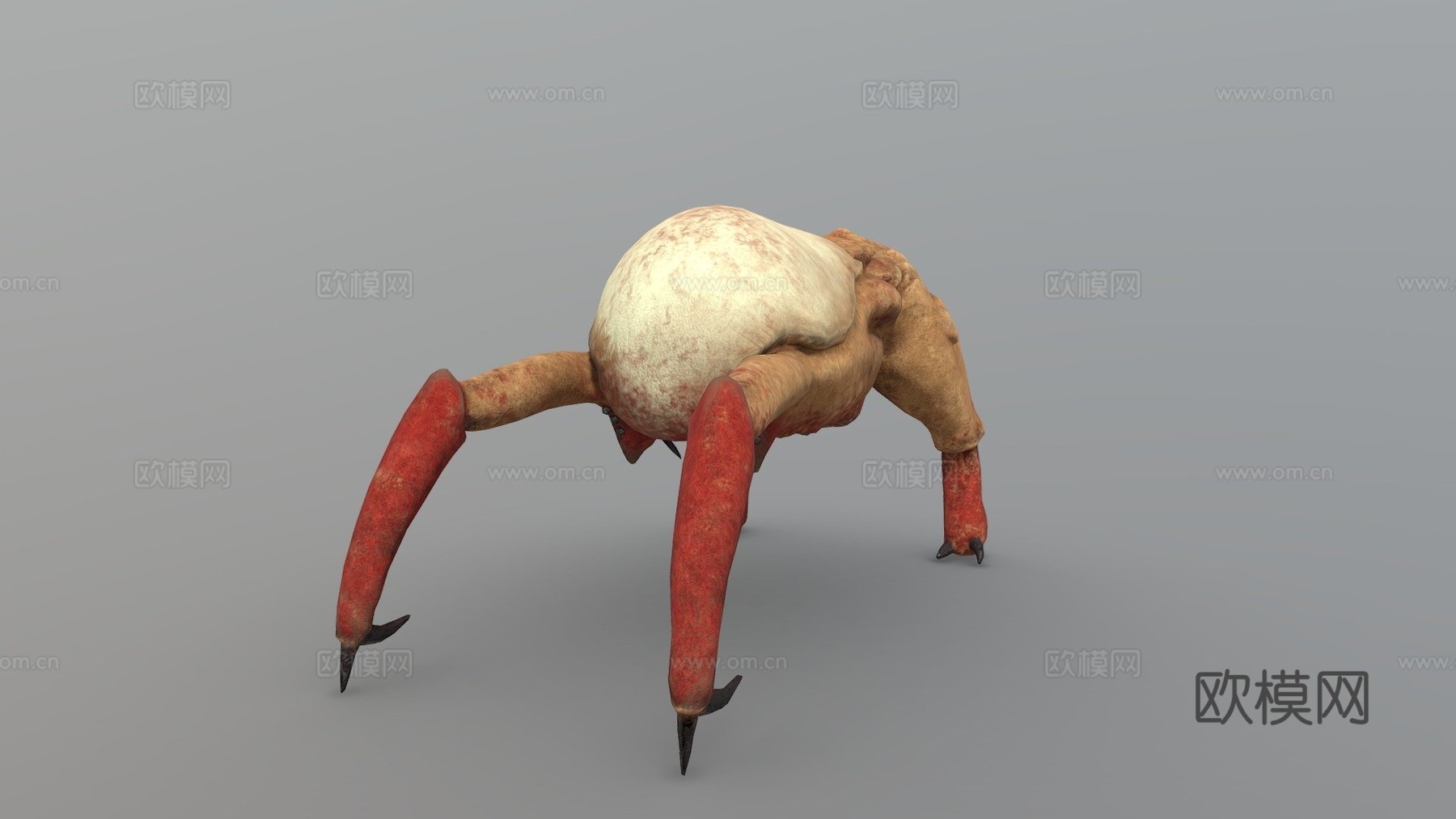 经典头蟹3d模型下载（渲染图1）