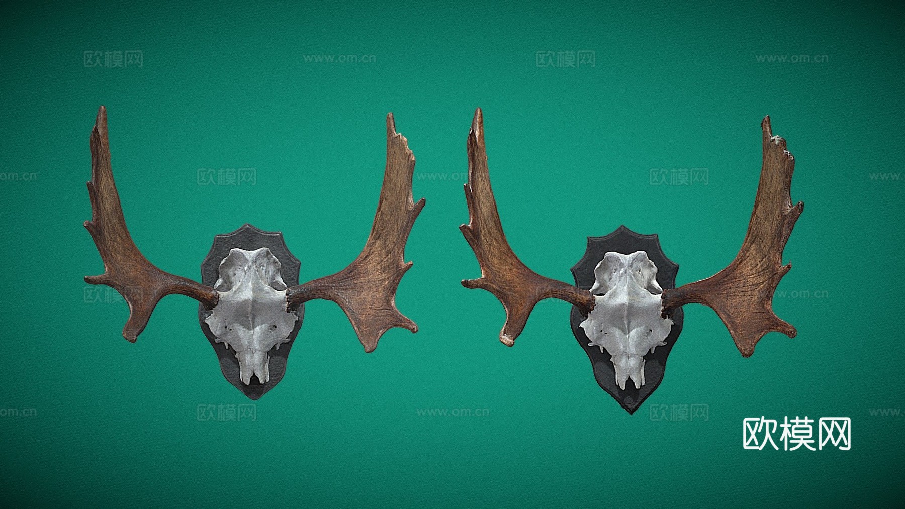 驼鹿角高低多边形扫描3d模型下载（渲染图1）