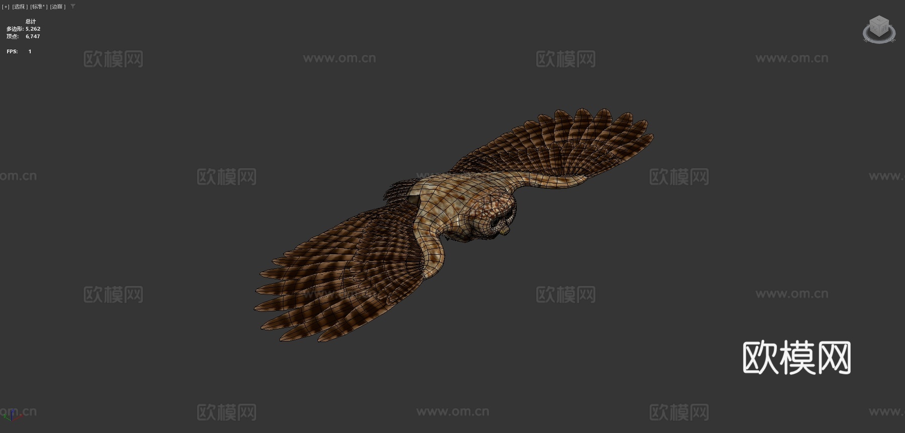 猫头鹰3d模型下载（渲染图4）