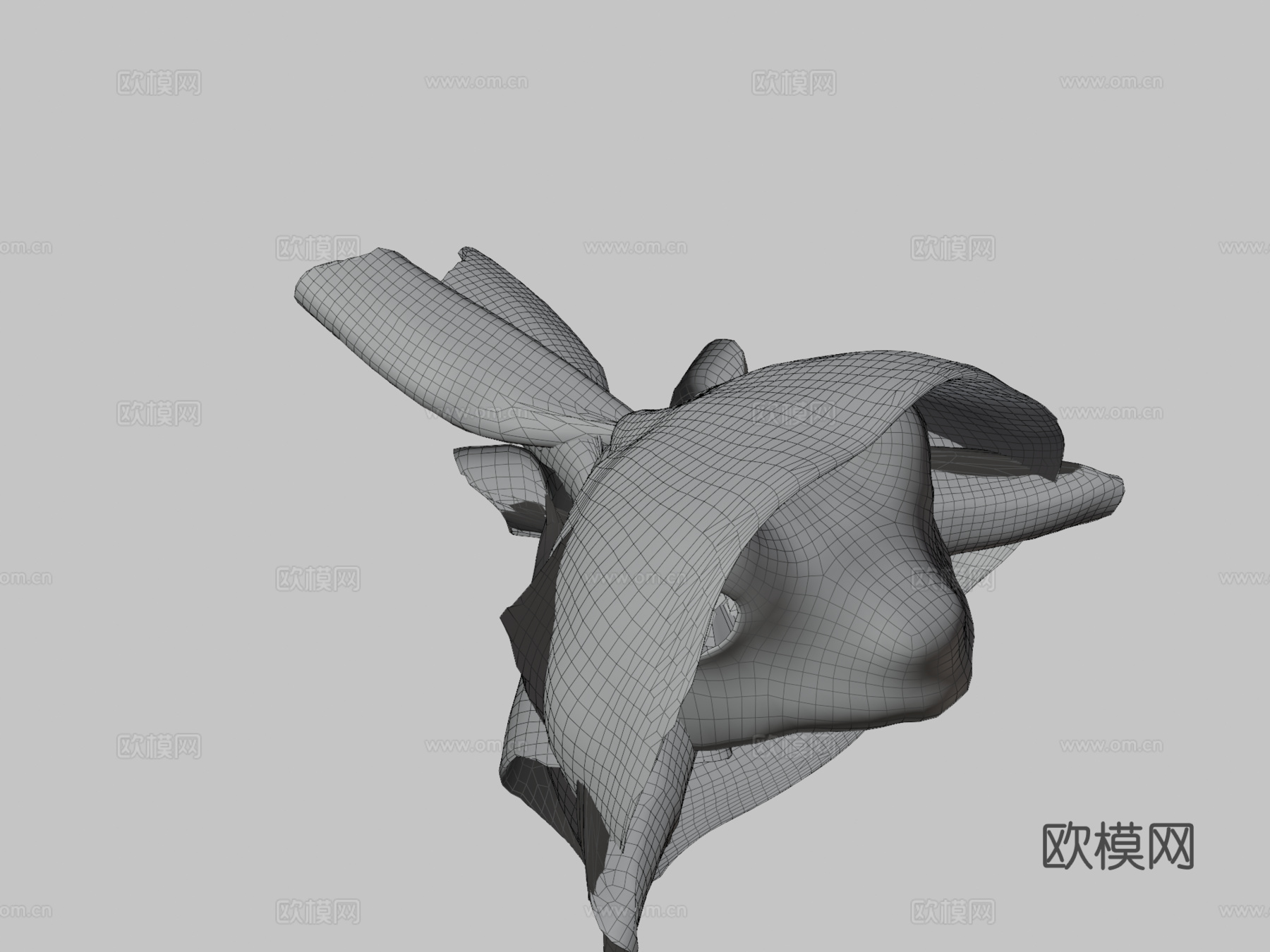 A  里根巴赫芦苇蛙3d模型下载（渲染图3）