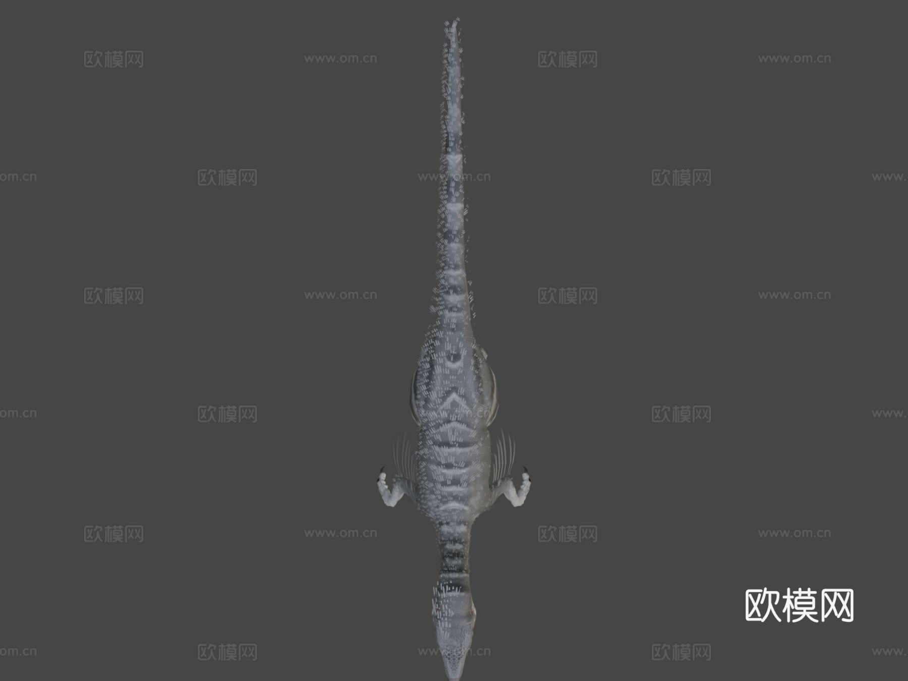 伤齿龙3d模型下载（渲染图7）