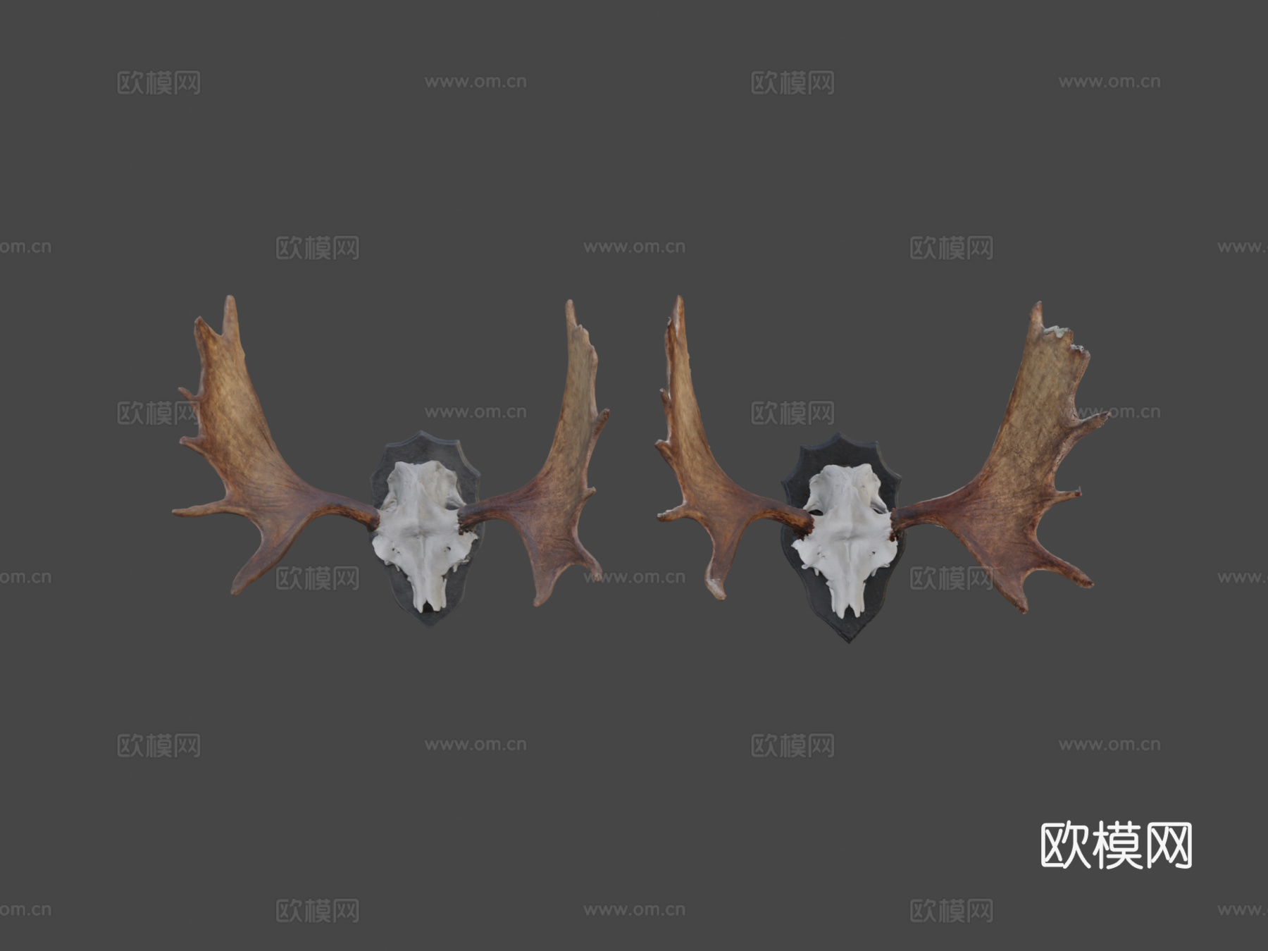 驼鹿角高低多边形扫描3d模型下载（渲染图8）