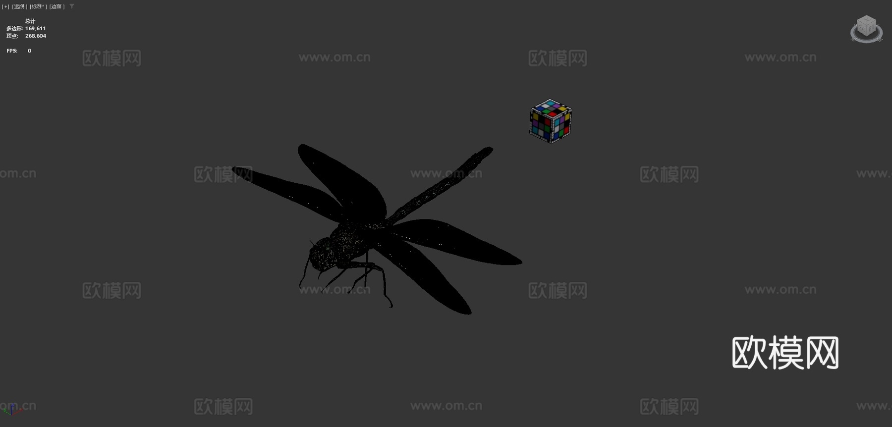 CC0黑纹小皇帝蜻蜓3d模型下载（渲染图4）