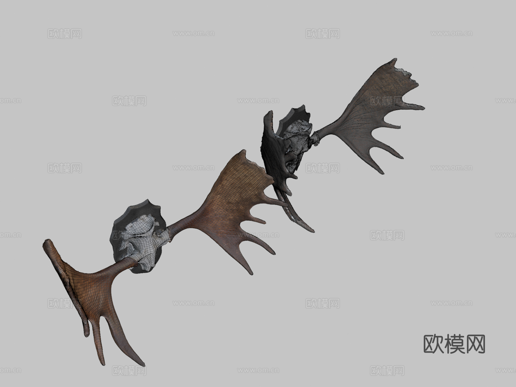 驼鹿角高低多边形扫描3d模型下载（渲染图2）