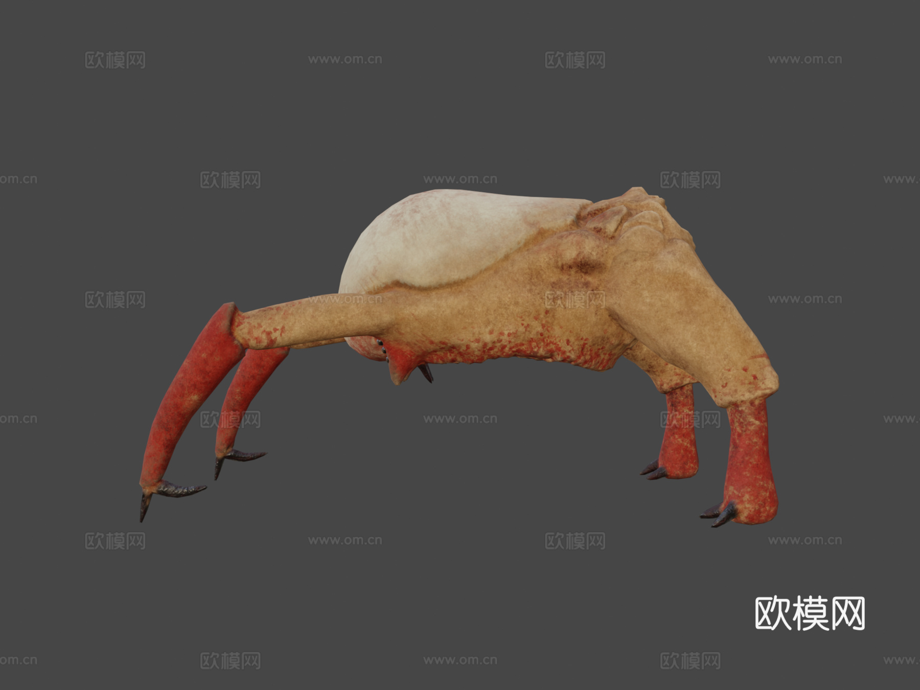 经典头蟹3d模型下载（渲染图7）