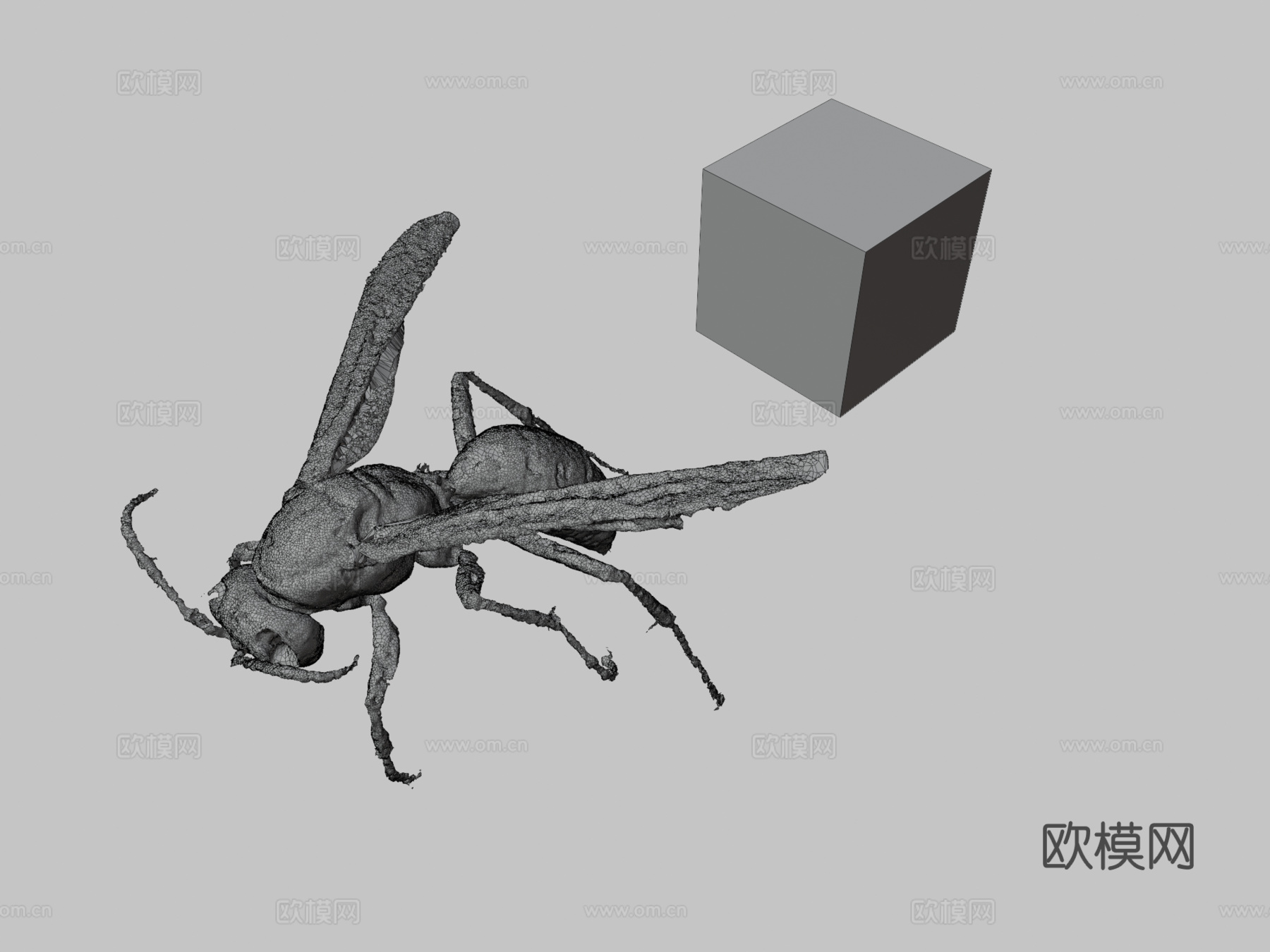 CC0 黑腹长脚蜂  暗腰纸蜂3d模型下载（渲染图3）