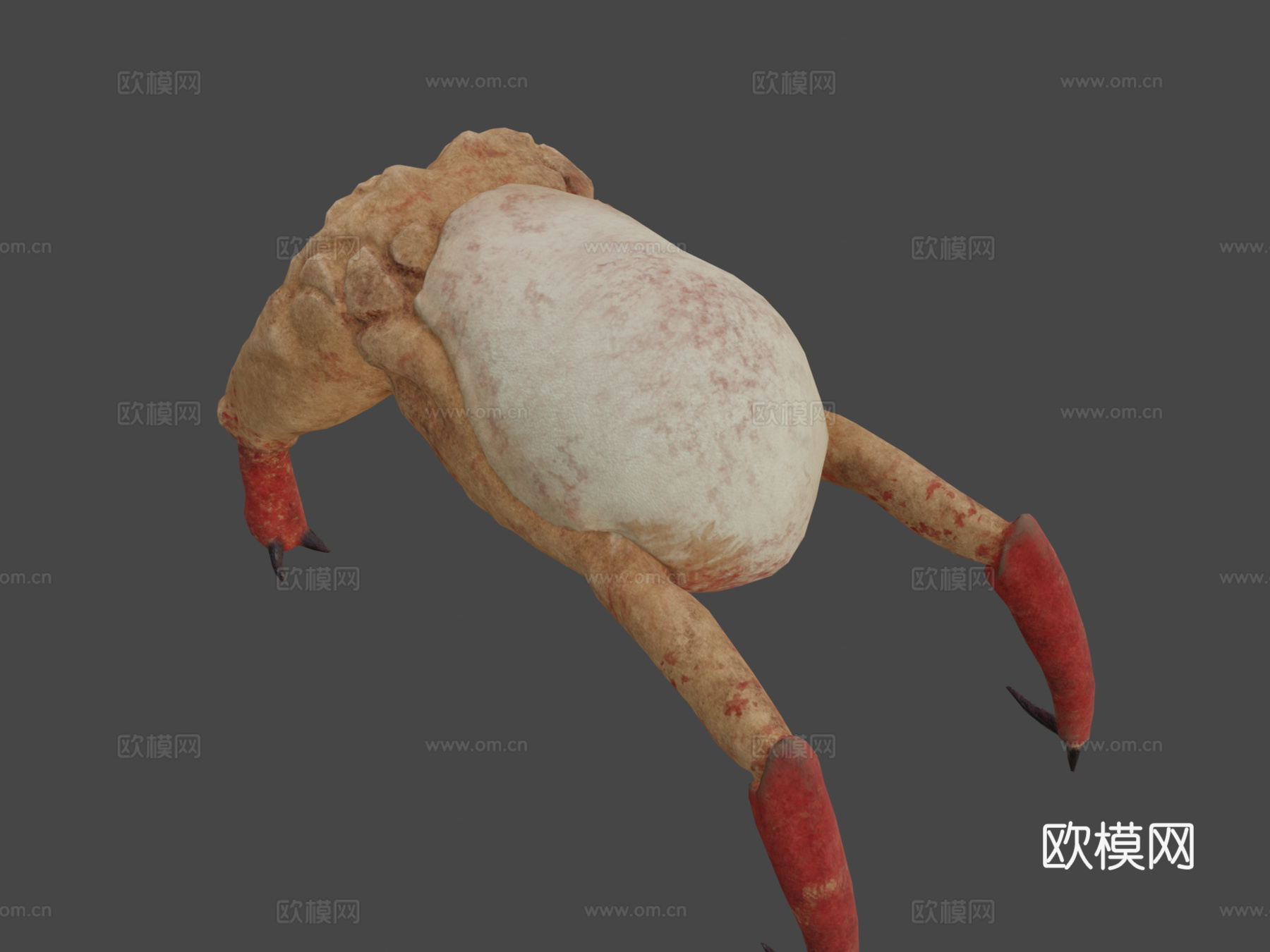 经典头蟹3d模型下载（渲染图8）