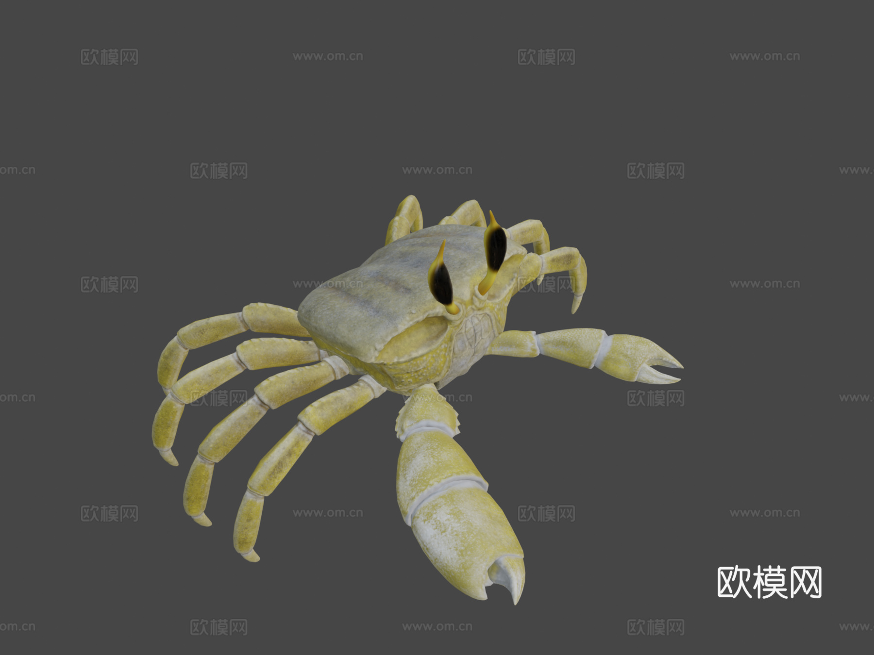 幽灵蟹3d模型下载（渲染图8）
