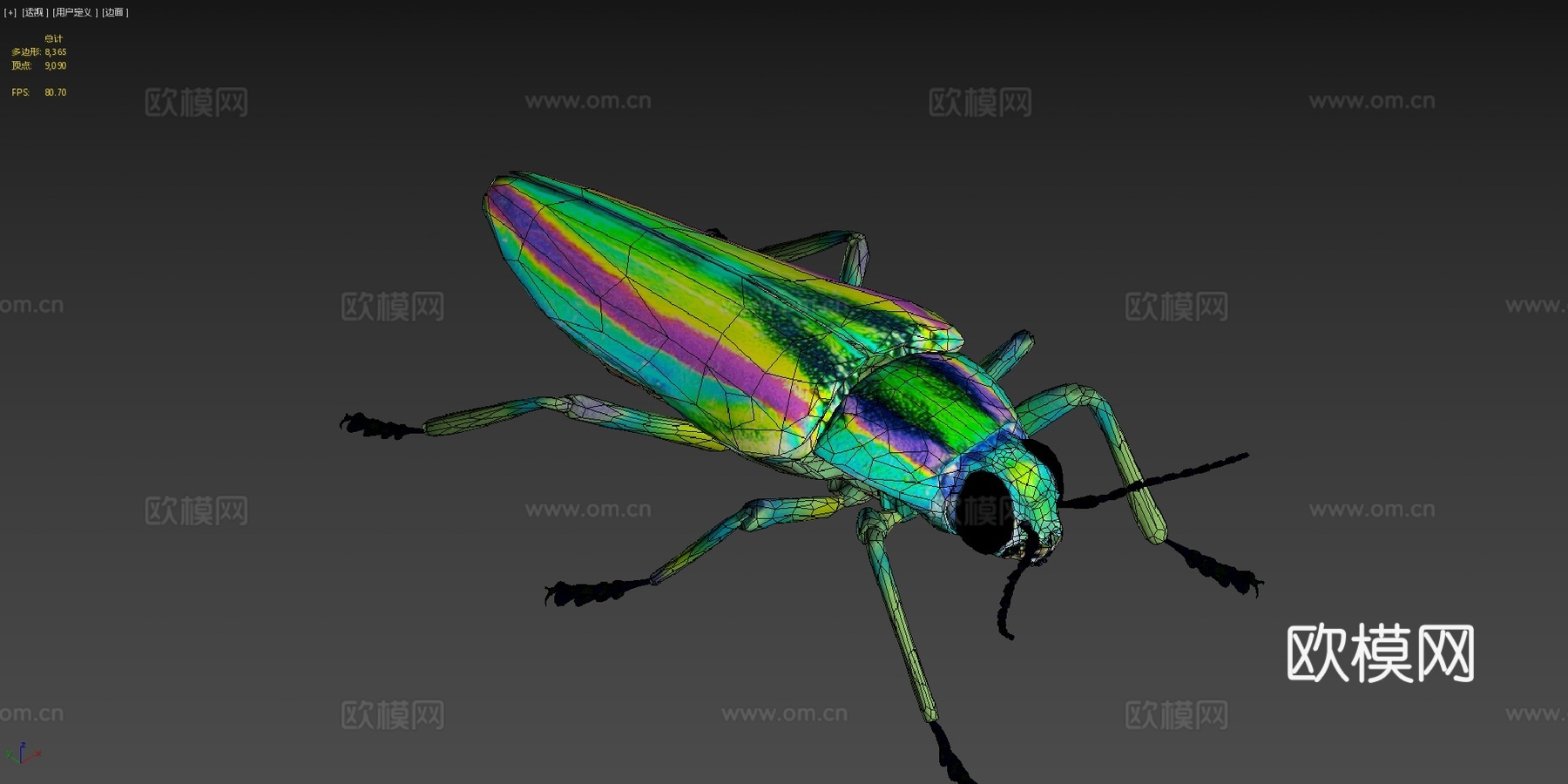 艳金龟3d模型下载（渲染图4）