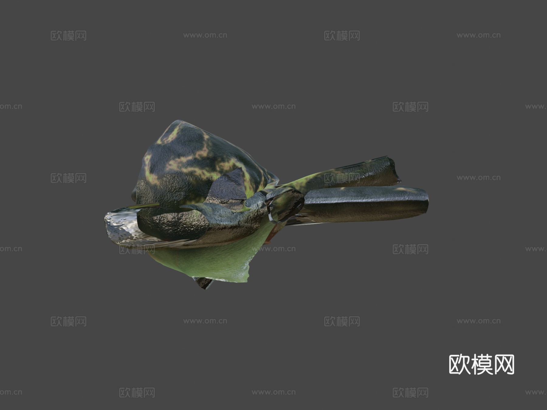 A  里根巴赫芦苇蛙3d模型下载（渲染图5）