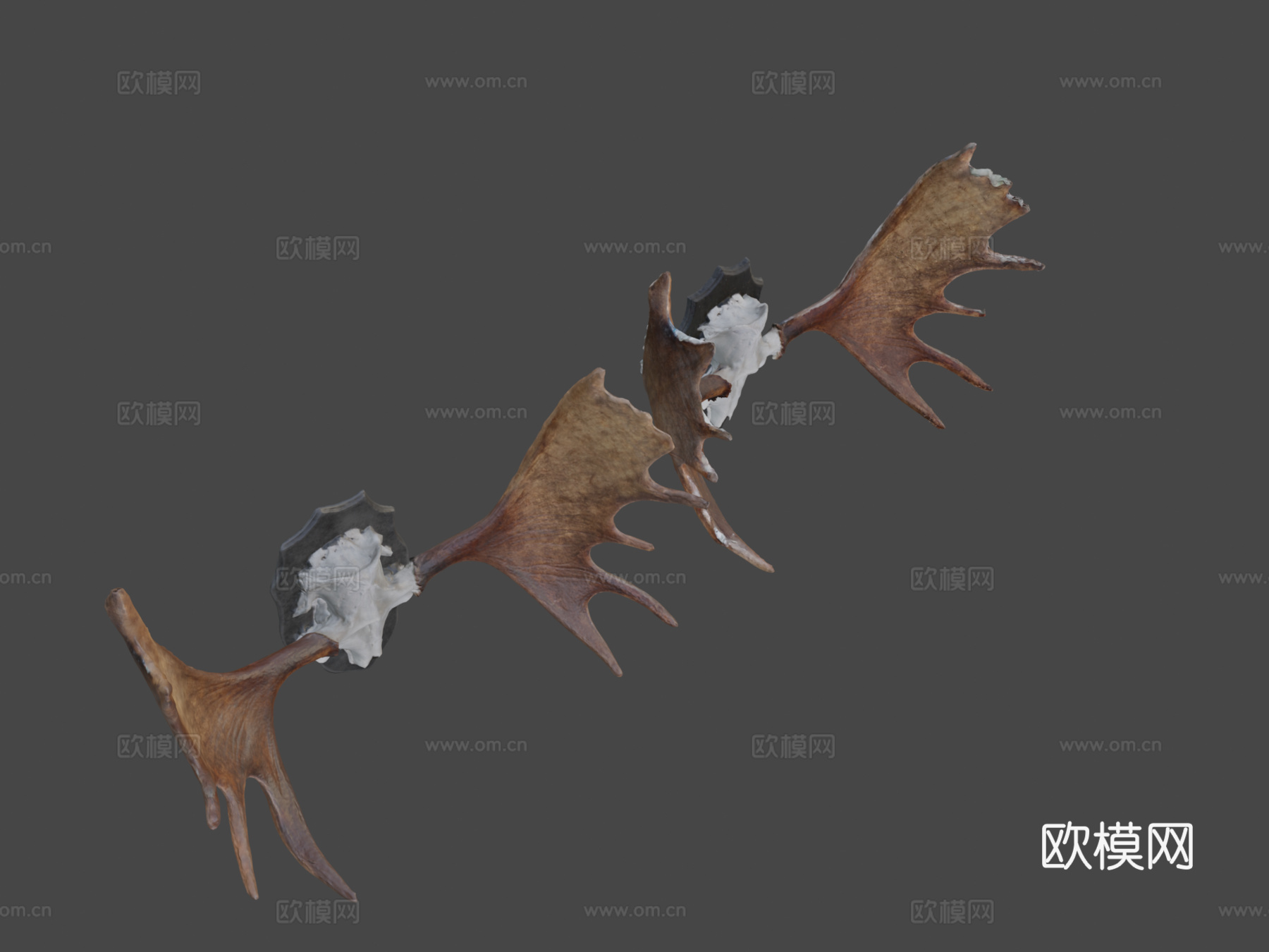 驼鹿角高低多边形扫描3d模型下载（渲染图7）