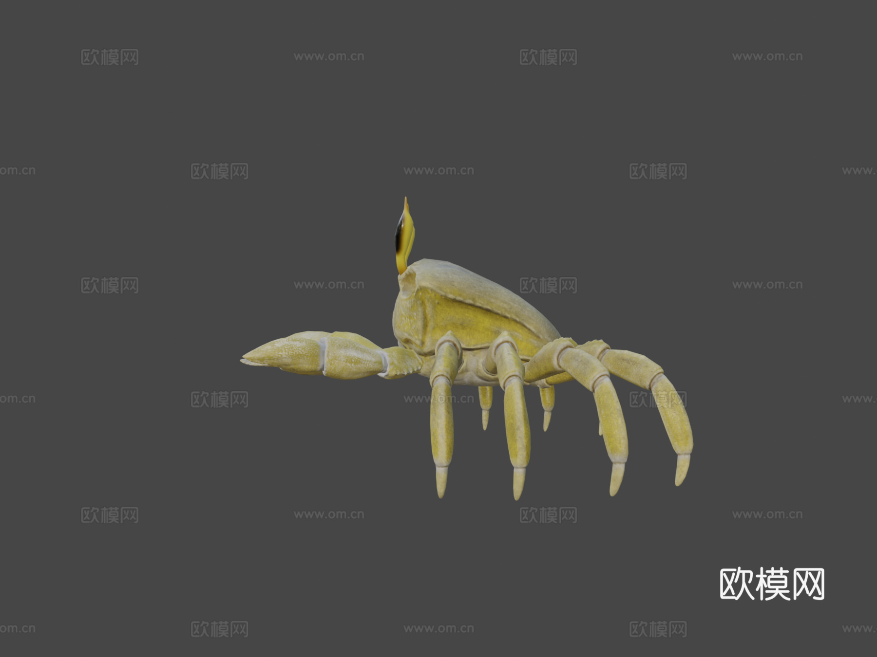 幽灵蟹3d模型下载（渲染图5）