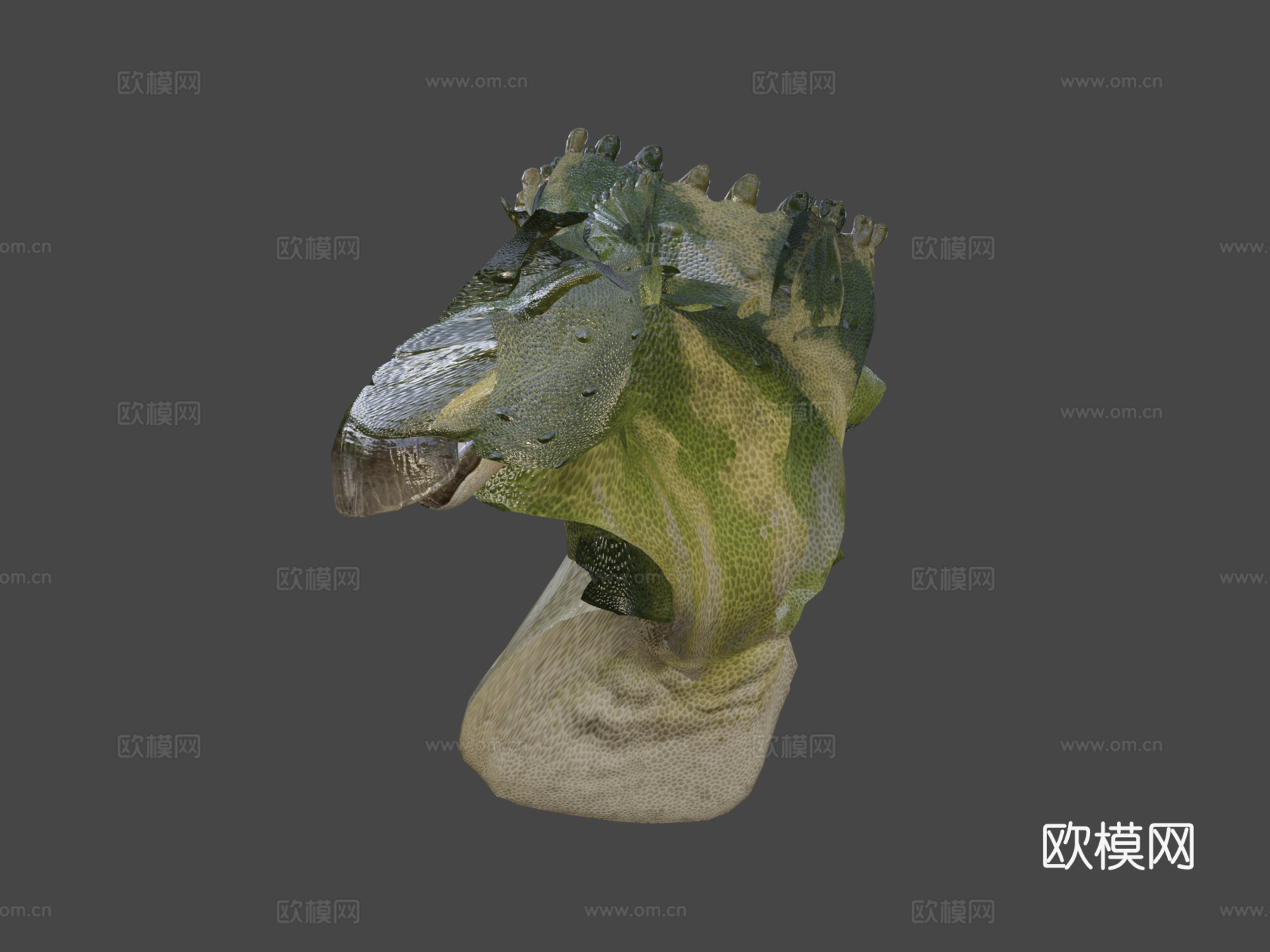 贝尼萨尔禽龙3d模型下载（渲染图8）