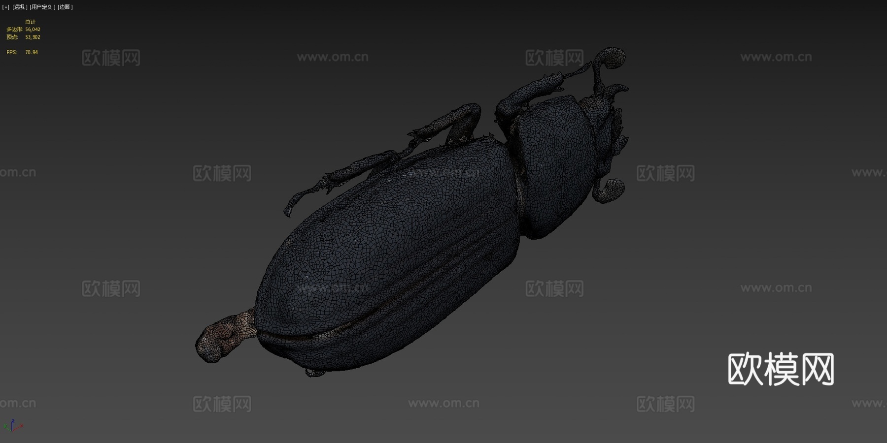 帕萨卢斯考皮正模标本自然历史数字档案馆3d模型下载（渲染图4）
