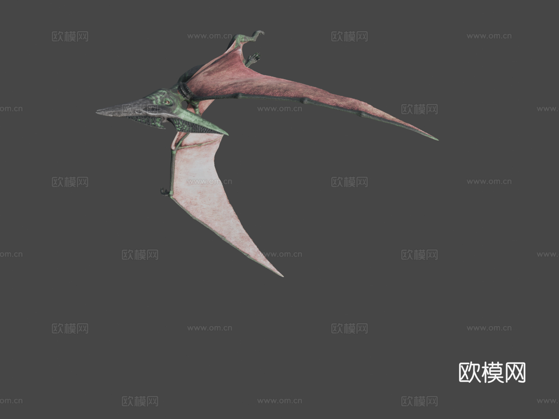 无齿翼龙3d模型下载（渲染图6）