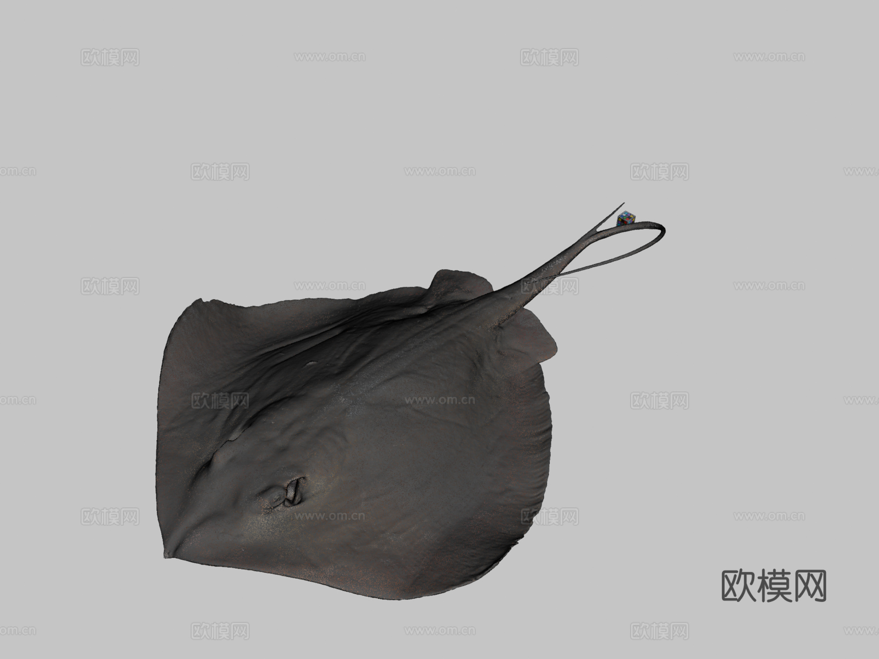 CC0 伊豆姬魟伊豆半魟3d模型下载（渲染图2）