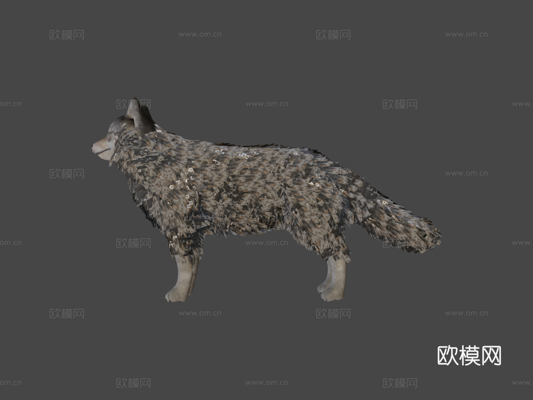 逼真狼3d模型下载（渲染图8）