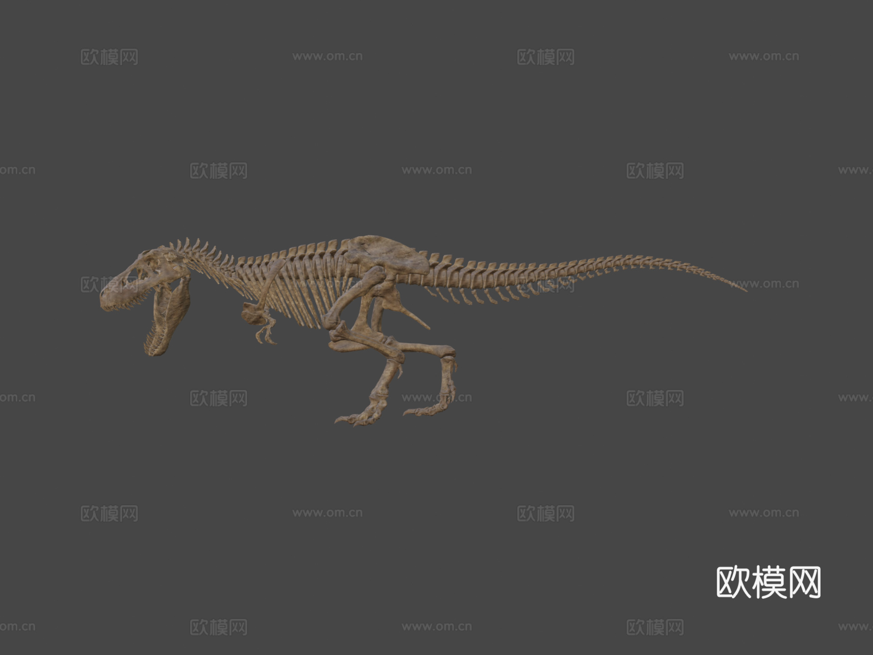 霸王龙骨架3d模型下载（渲染图8）
