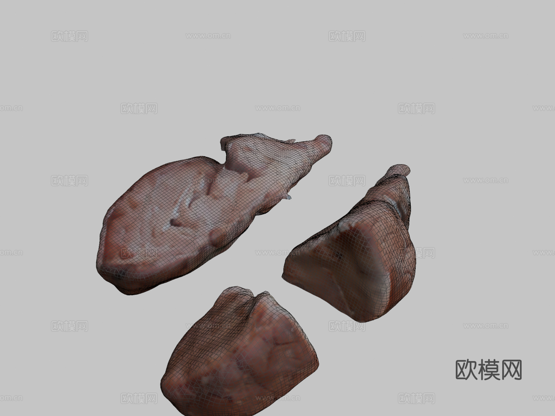 绵羊脑3d模型下载（渲染图2）