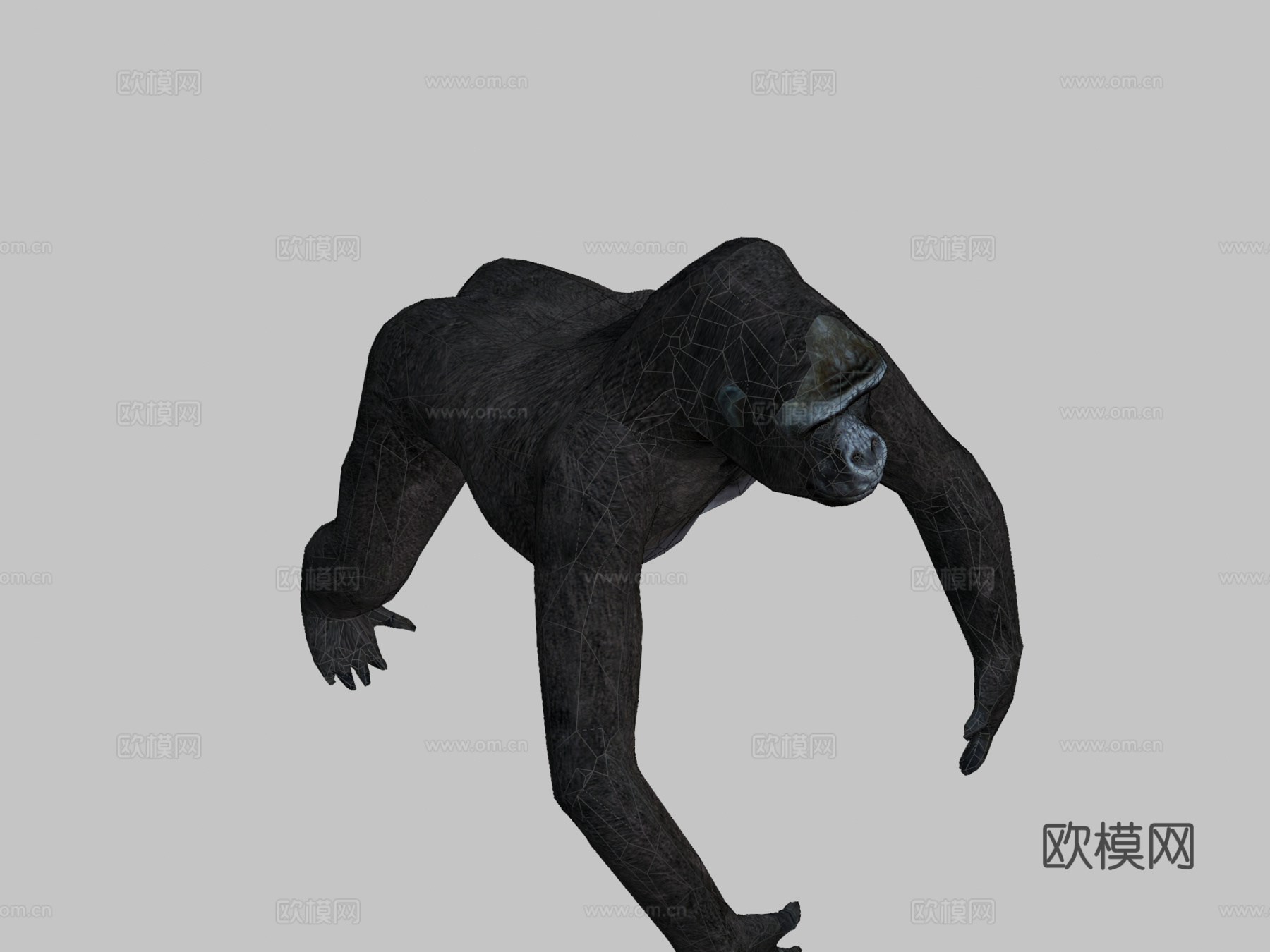 大猩猩3d模型下载（渲染图2）