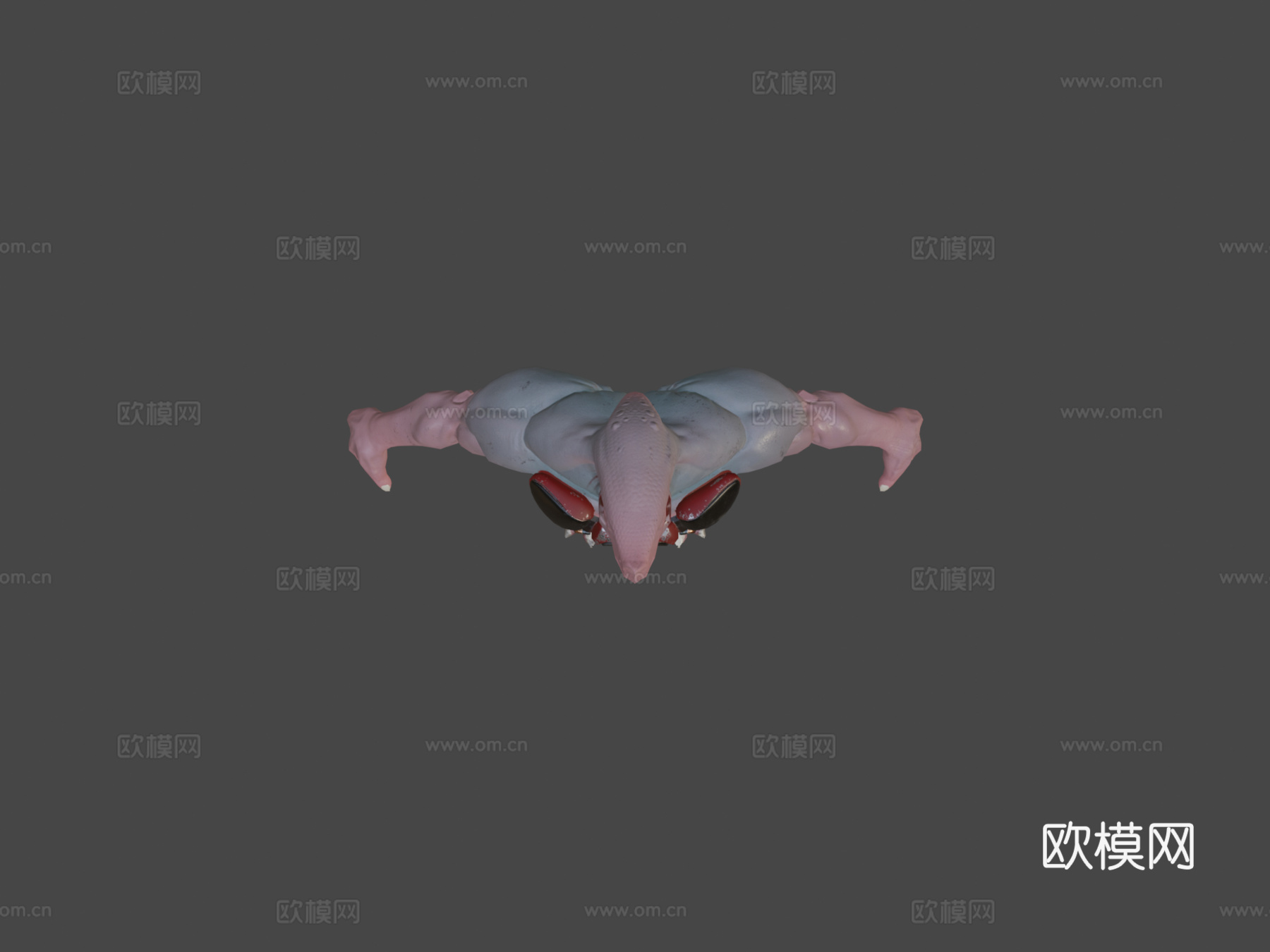 生物  弗洛格3d模型下载（渲染图5）