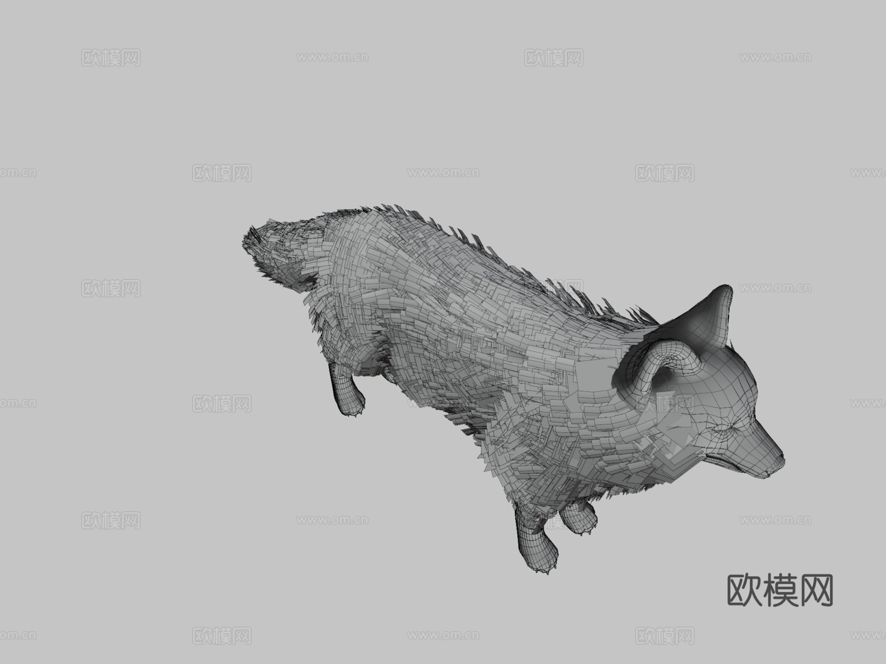 逼真狼3d模型下载（渲染图3）