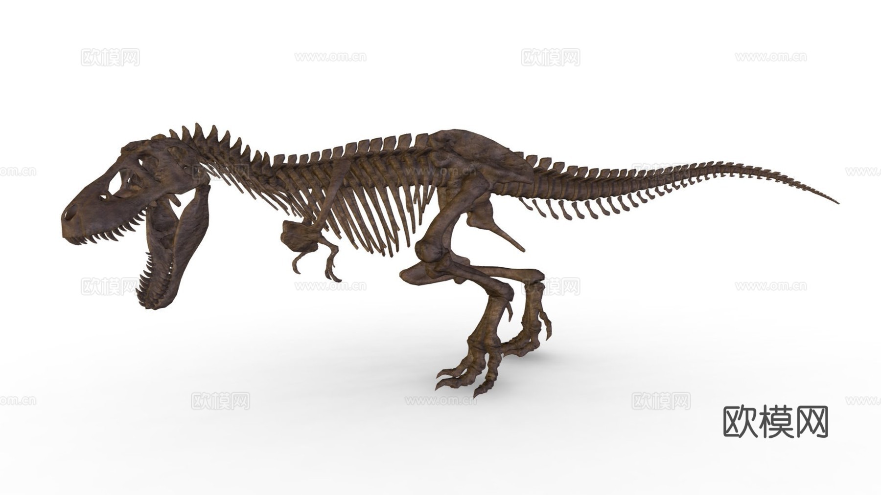 霸王龙骨架3d模型下载（渲染图1）