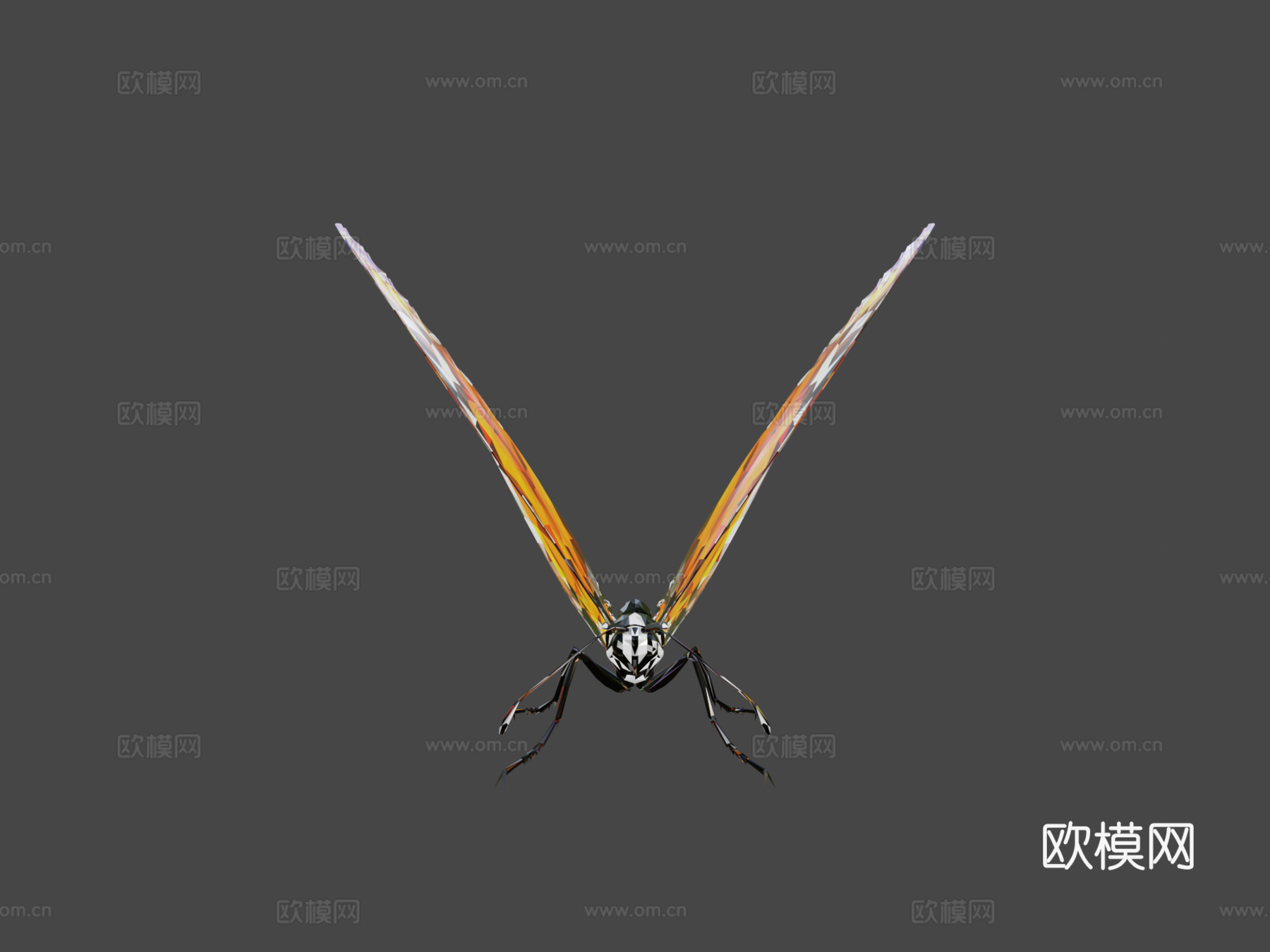 蝴蝶橙色低多边形艺术昆虫3d模型下载（渲染图5）