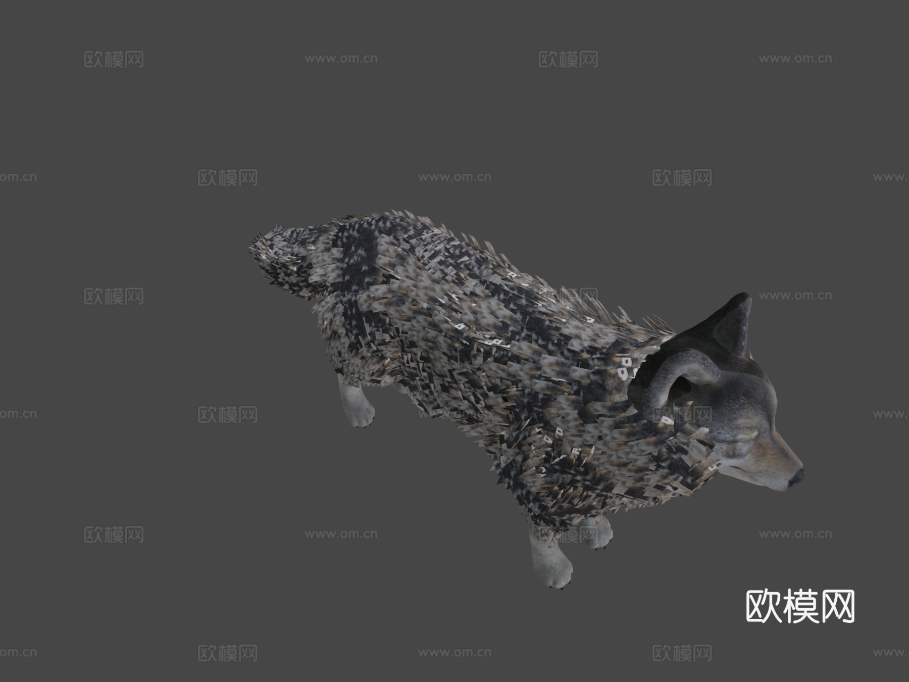 逼真狼3d模型下载（渲染图7）