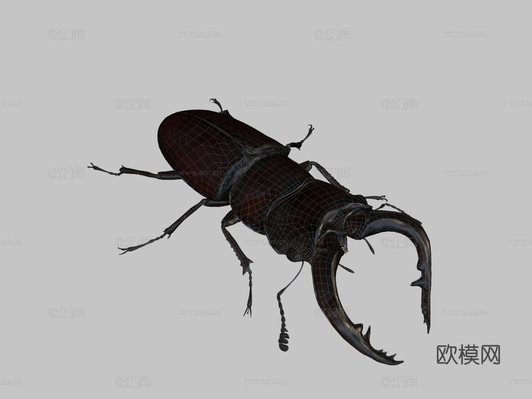 倾斜锹形虫3d模型下载（渲染图2）
