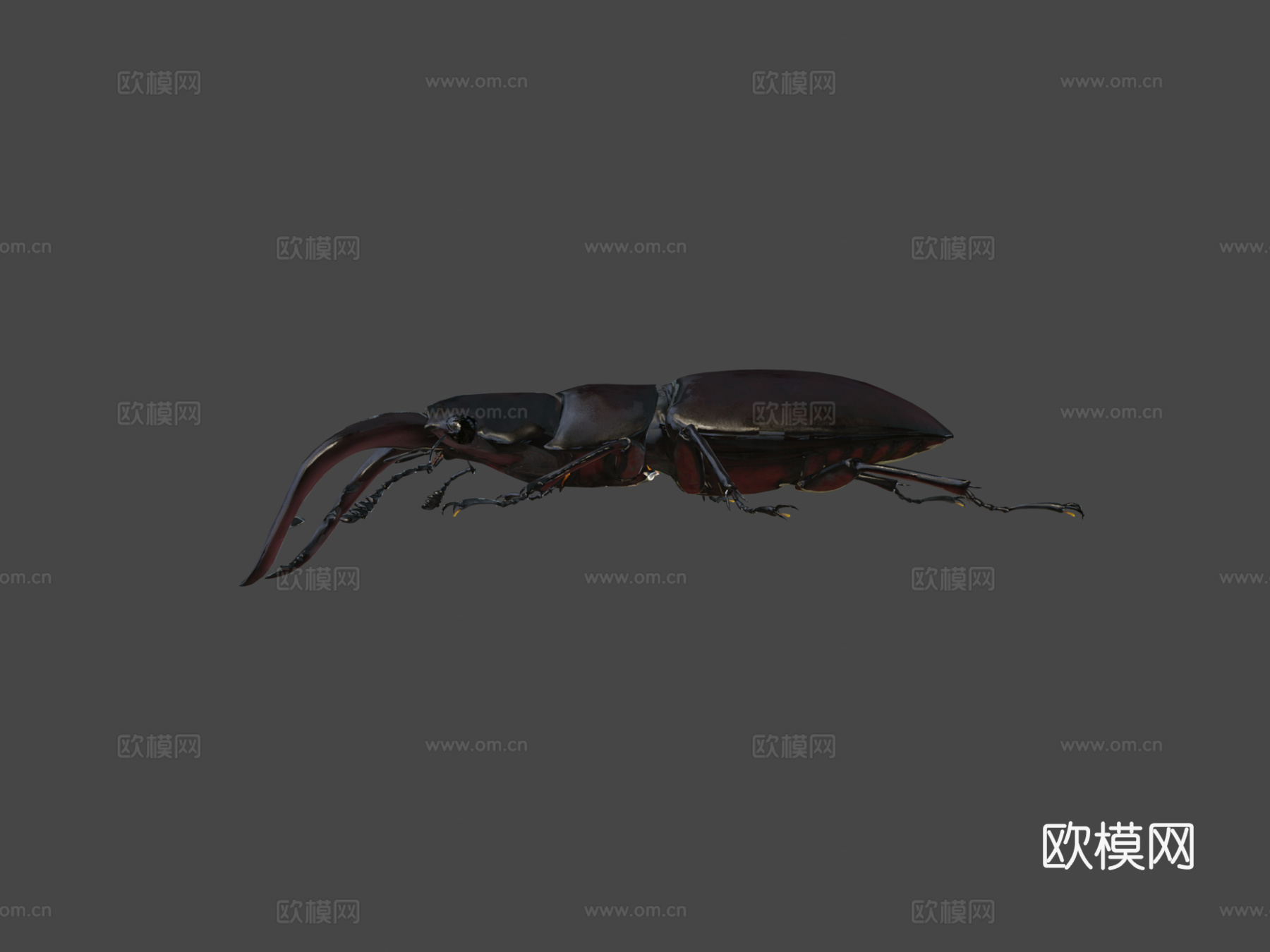 倾斜锹形虫3d模型下载（渲染图6）