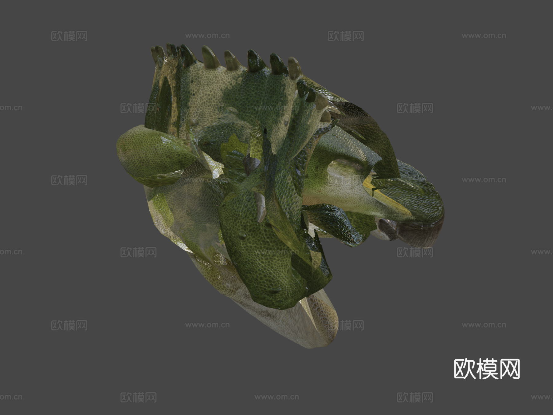 贝尼萨尔禽龙3d模型下载（渲染图7）