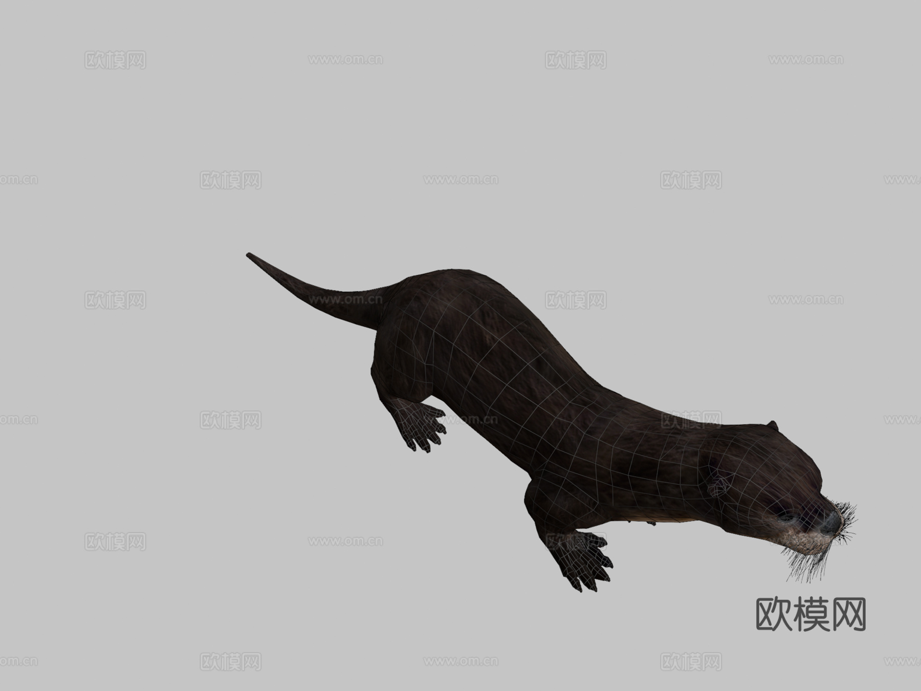 威林挑衅水獭3d模型下载（渲染图2）