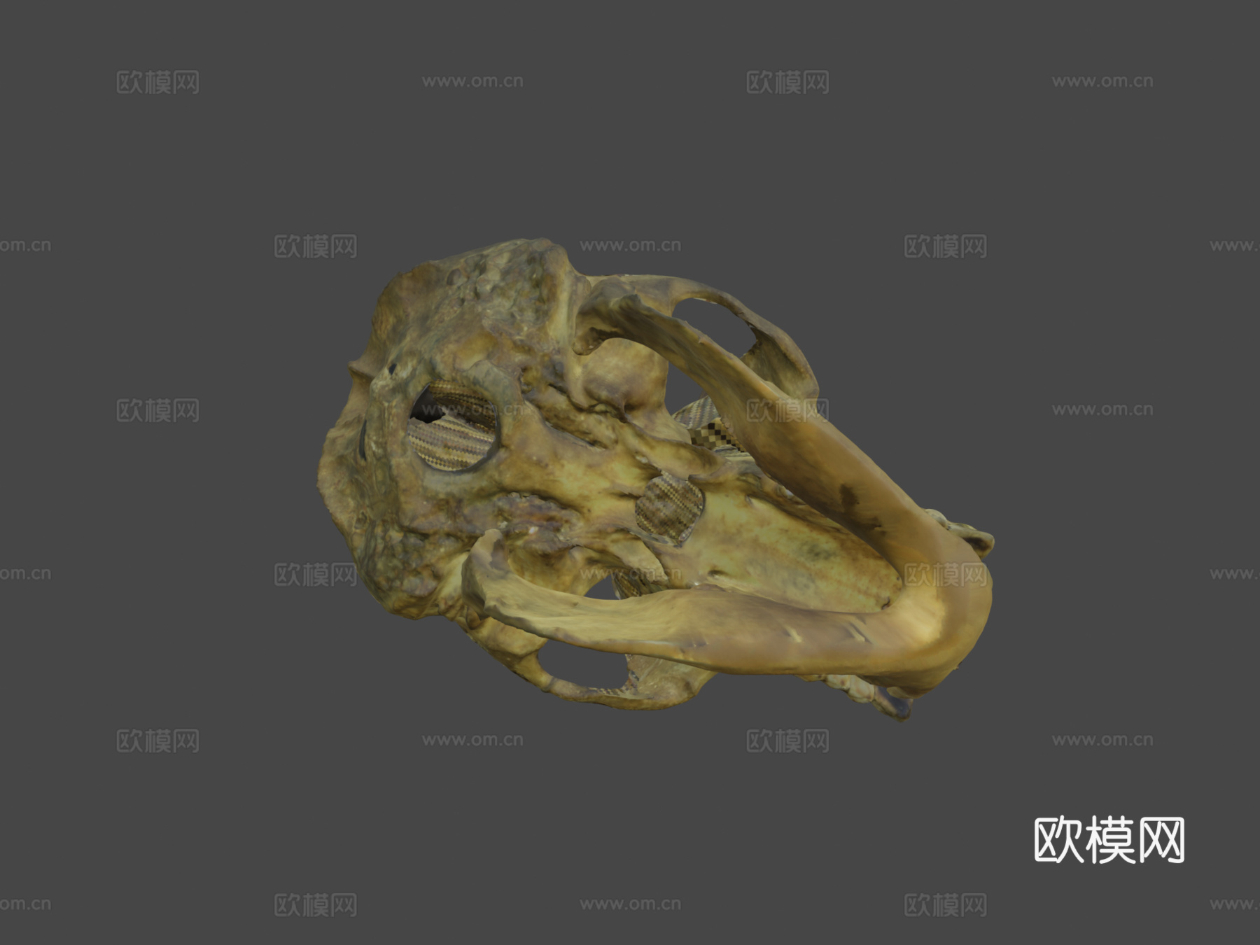 大猩猩3d模型下载（渲染图5）