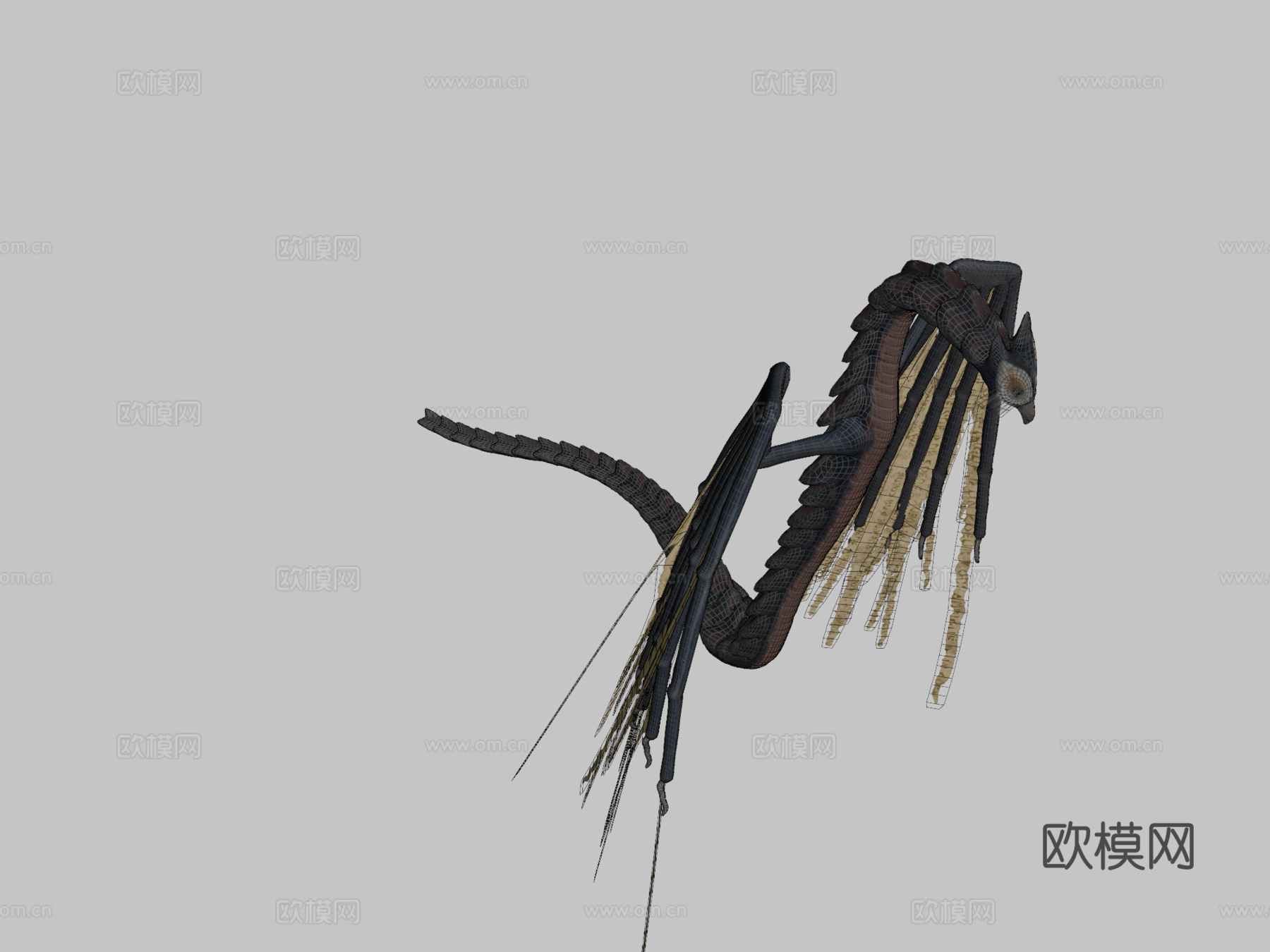 森林精灵3d模型下载（渲染图2）