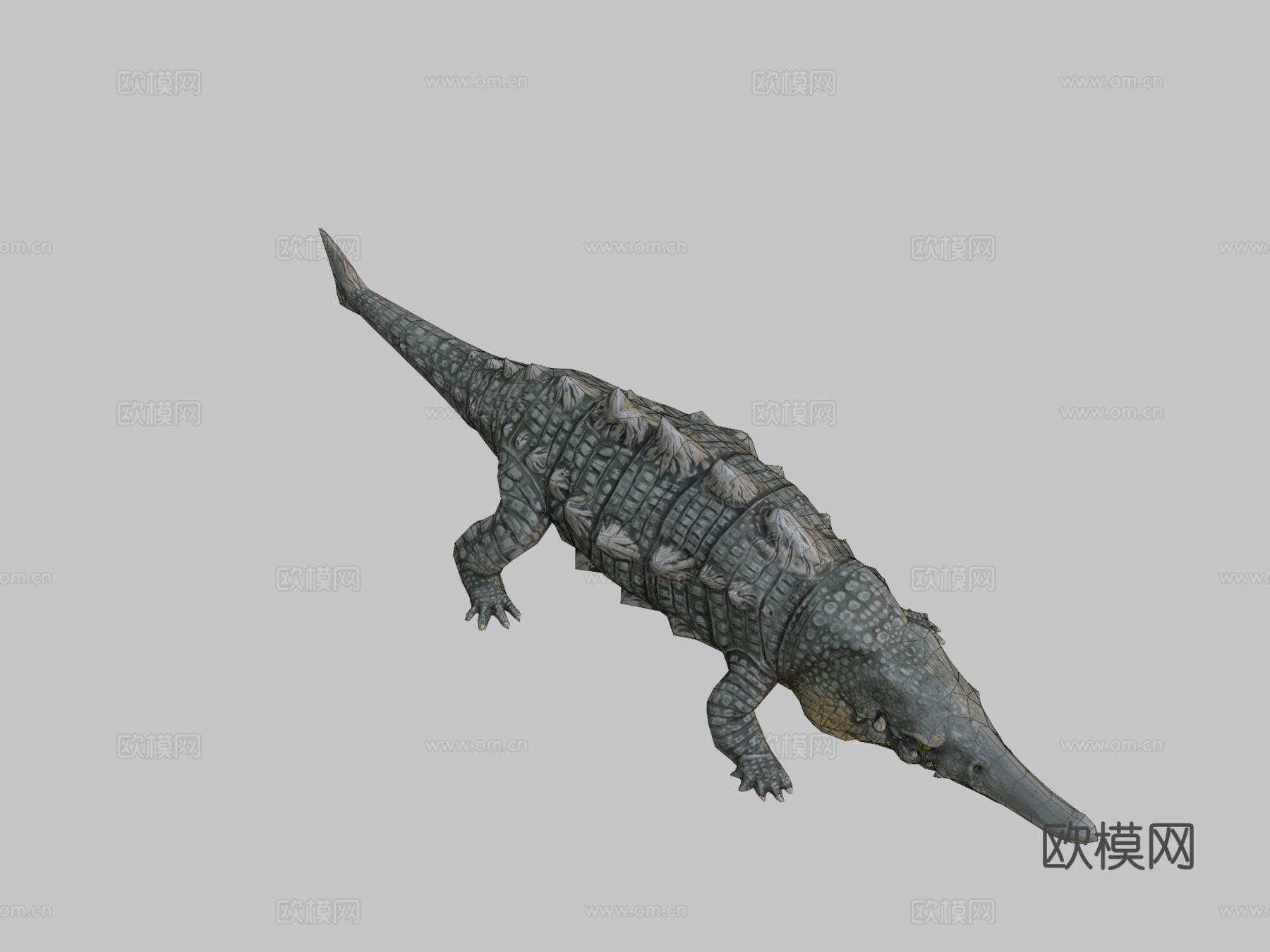鲟鳄高多边形3d模型下载（渲染图2）