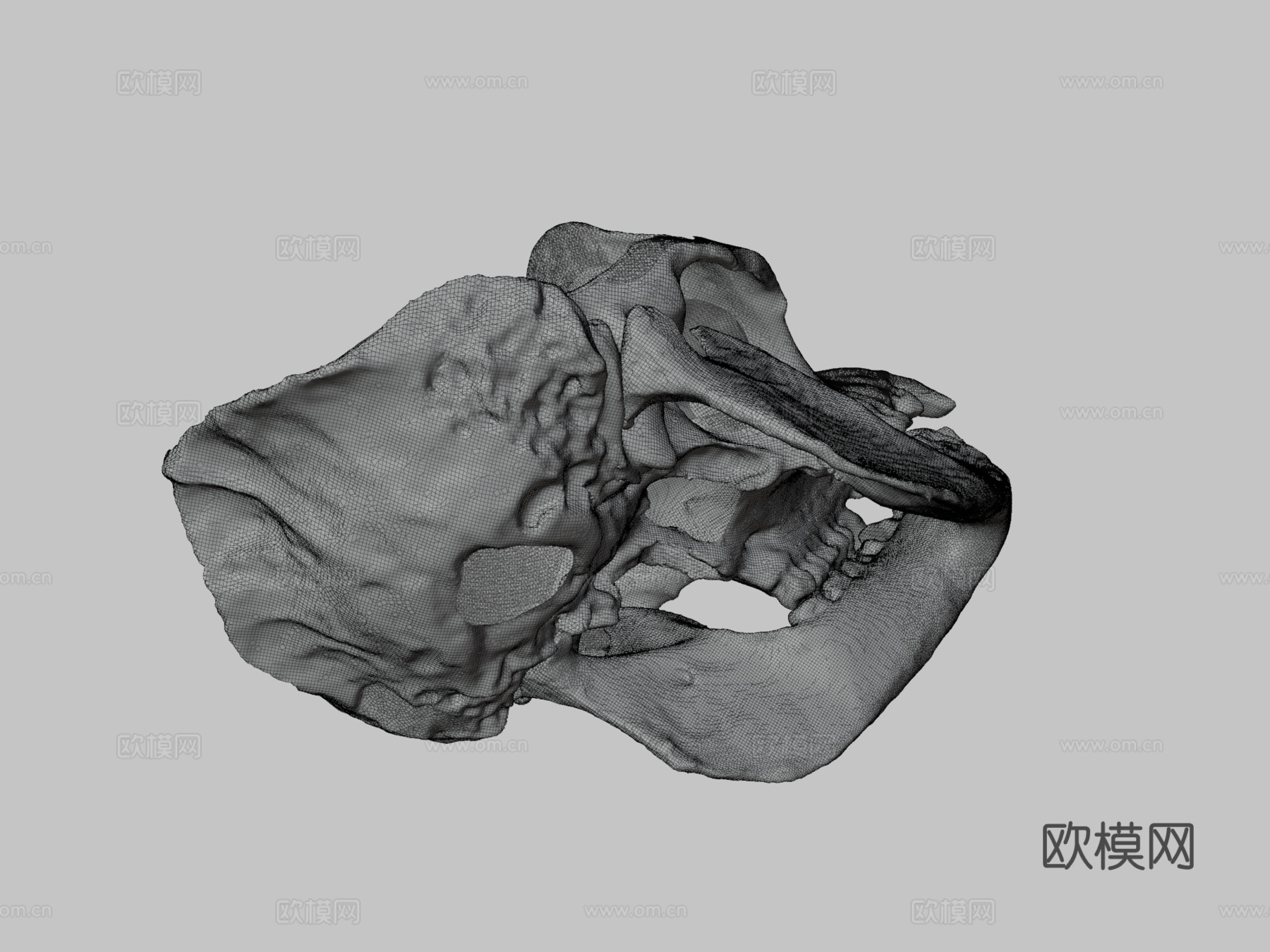 大猩猩3d模型下载（渲染图3）