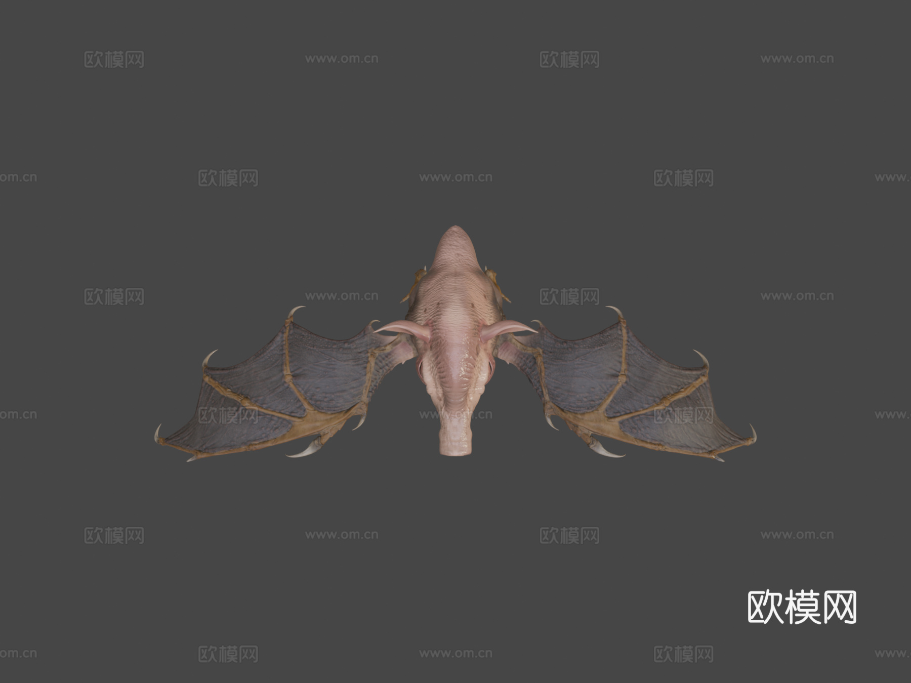 空中猪3d模型下载（渲染图7）