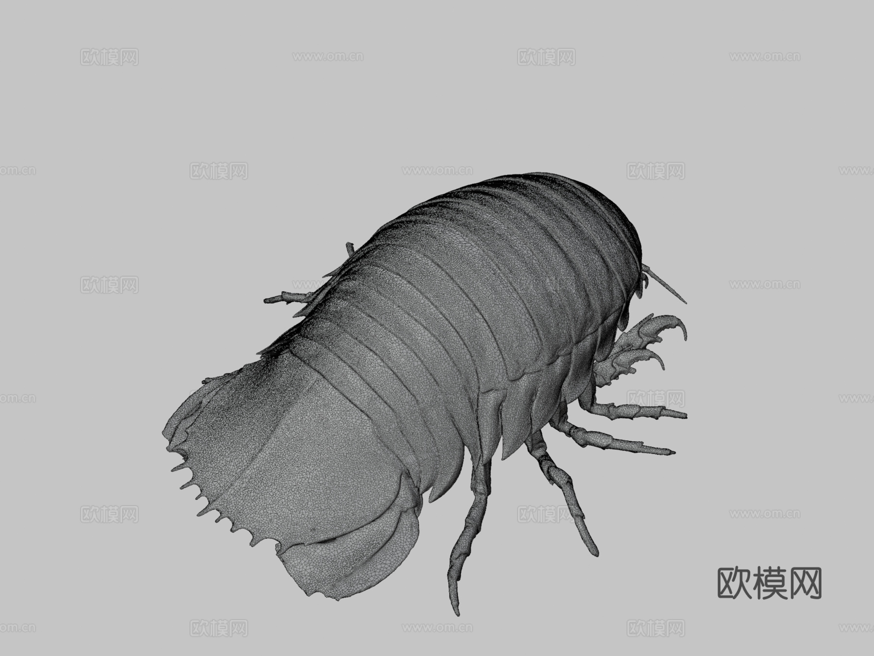 巨型等足虫3d模型下载（渲染图3）