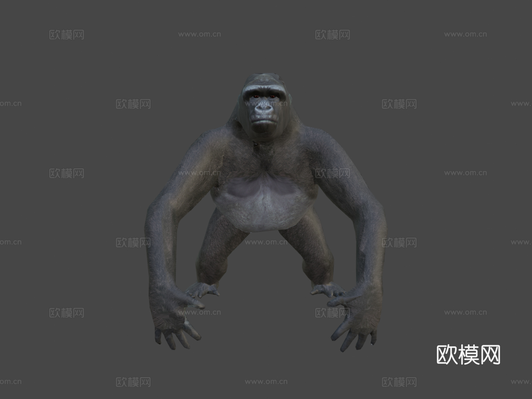 大猩猩3d模型下载（渲染图8）