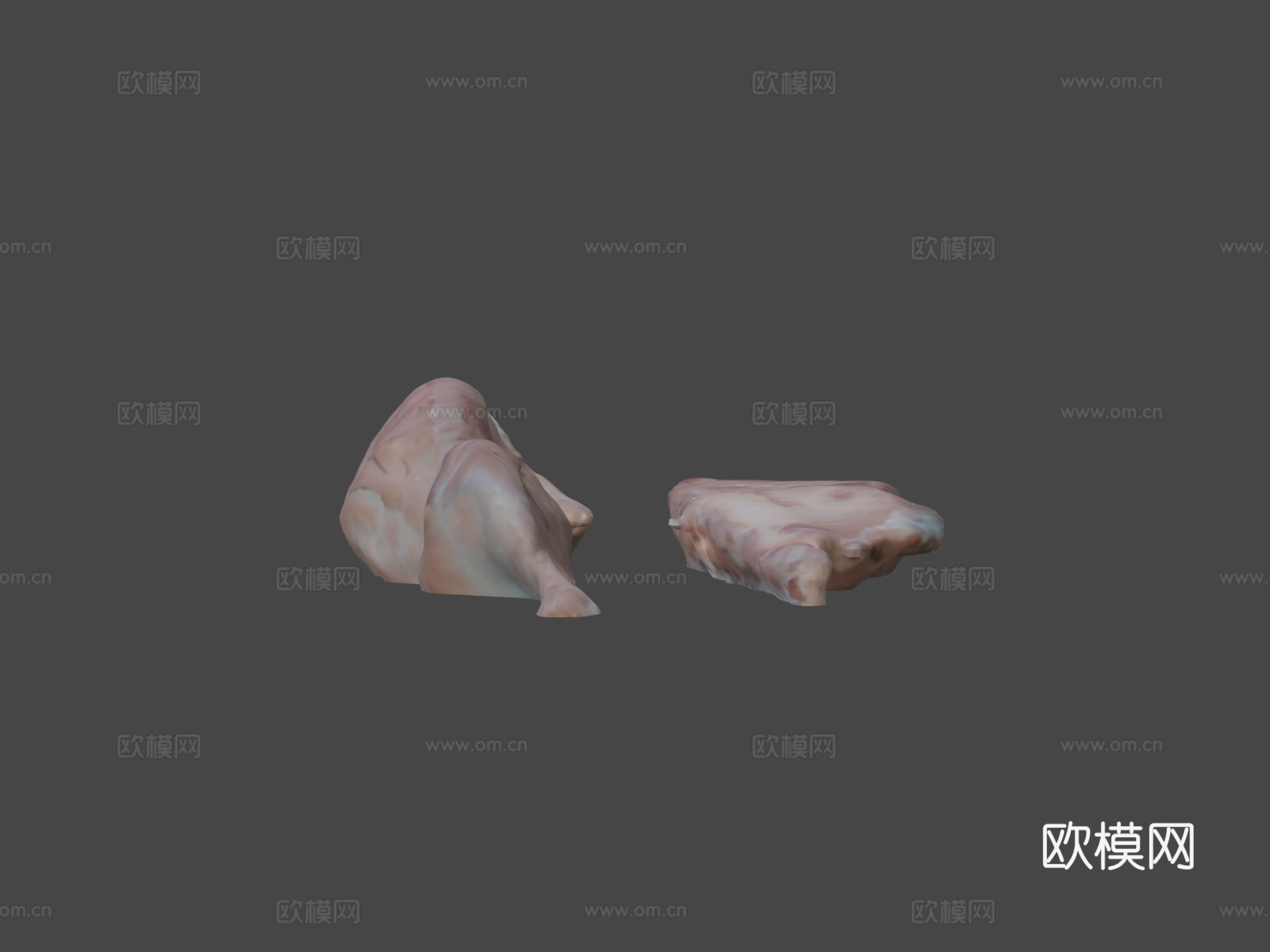 绵羊脑3d模型下载（渲染图5）