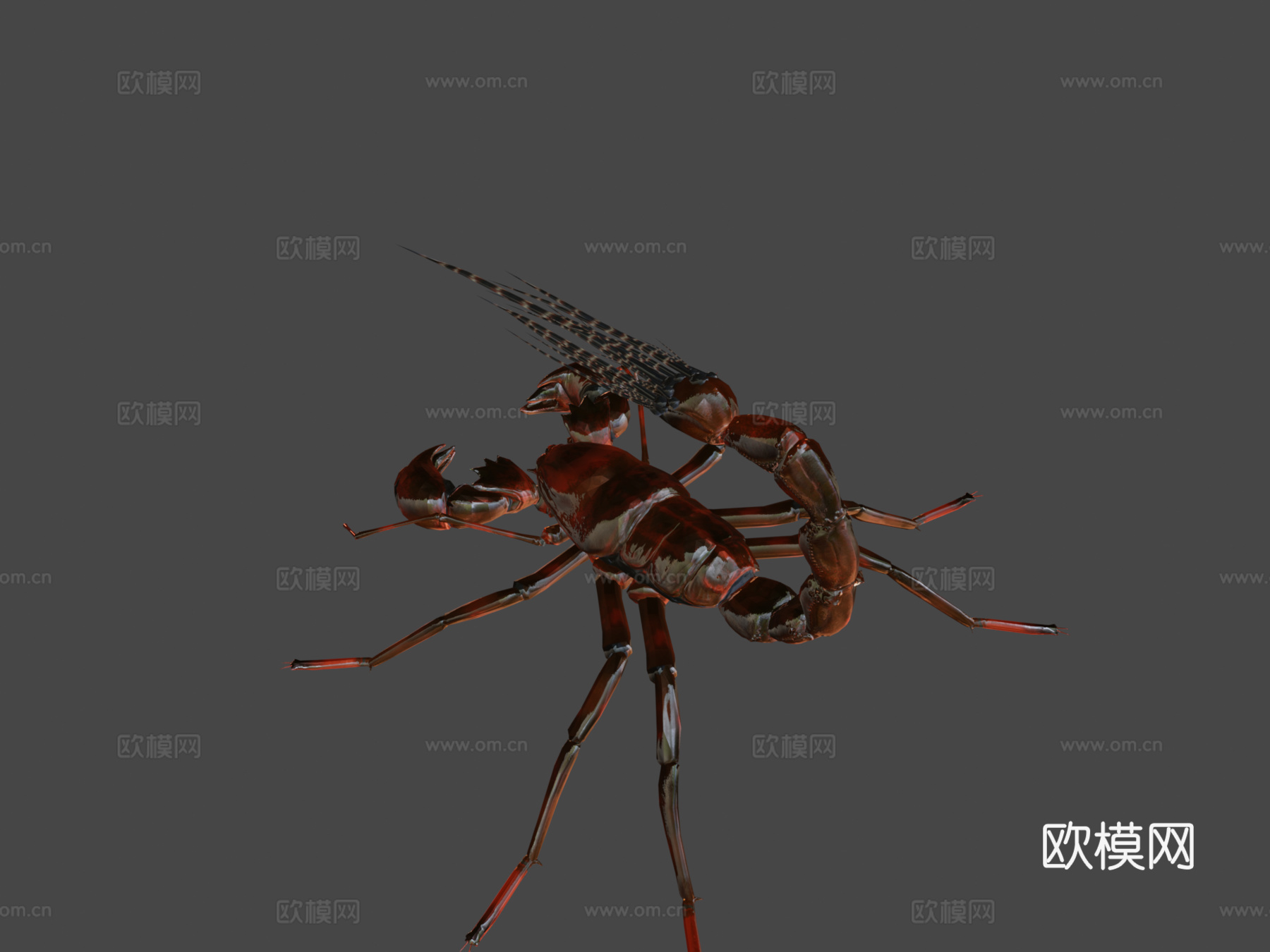 射击蝎子3d模型下载（渲染图7）
