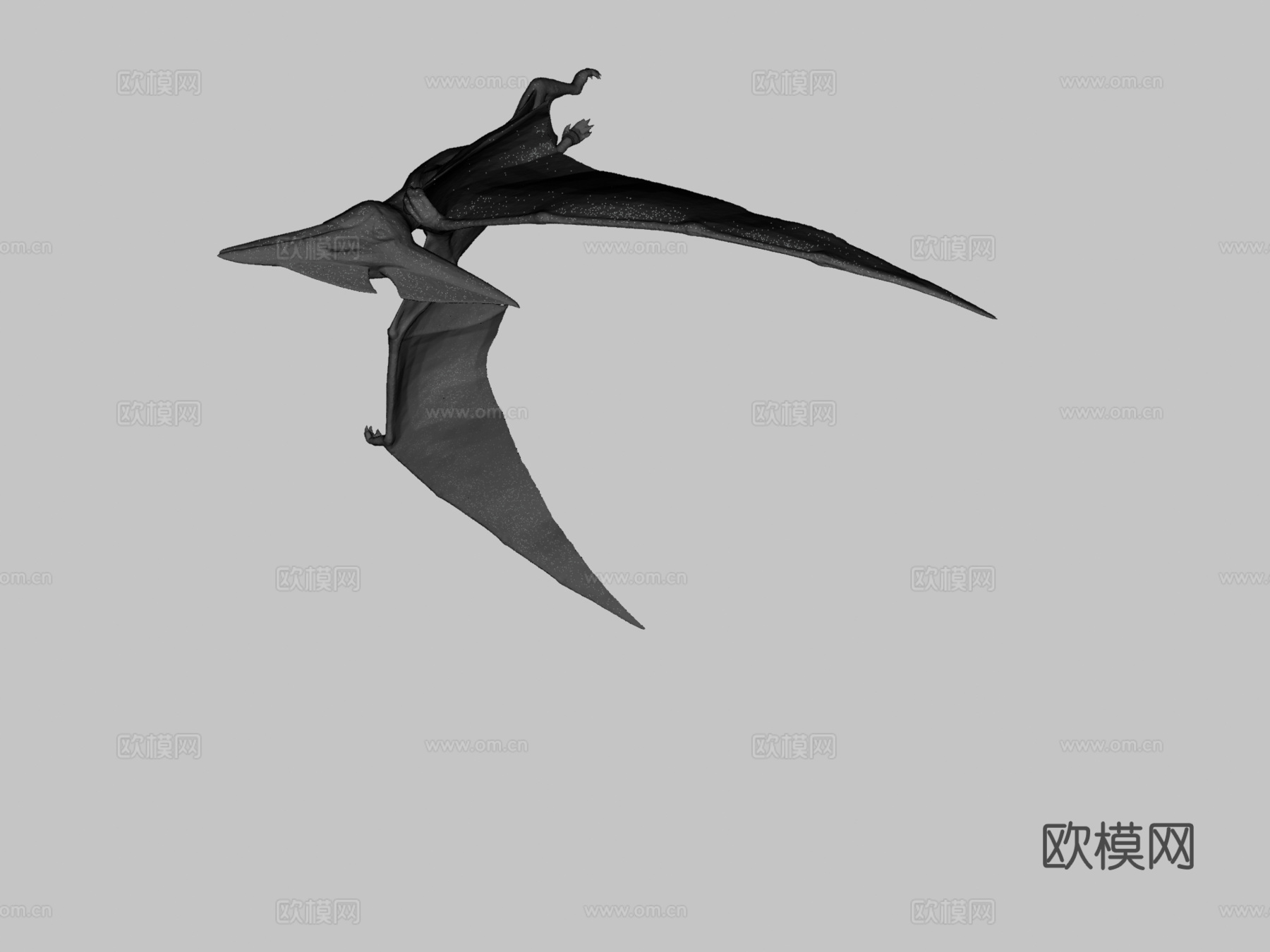 无齿翼龙3d模型下载（渲染图3）