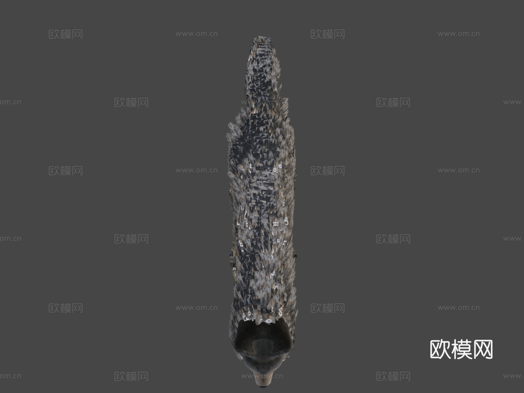 逼真狼3d模型下载（渲染图6）